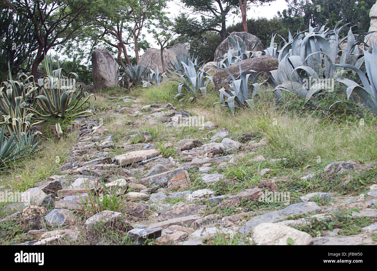 Xeriscape Garden Foto Stock