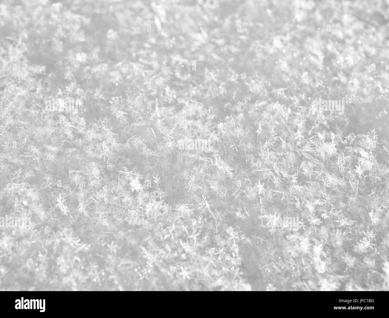 Texture di bianco della neve scintillante nella macro di Sun Foto Stock