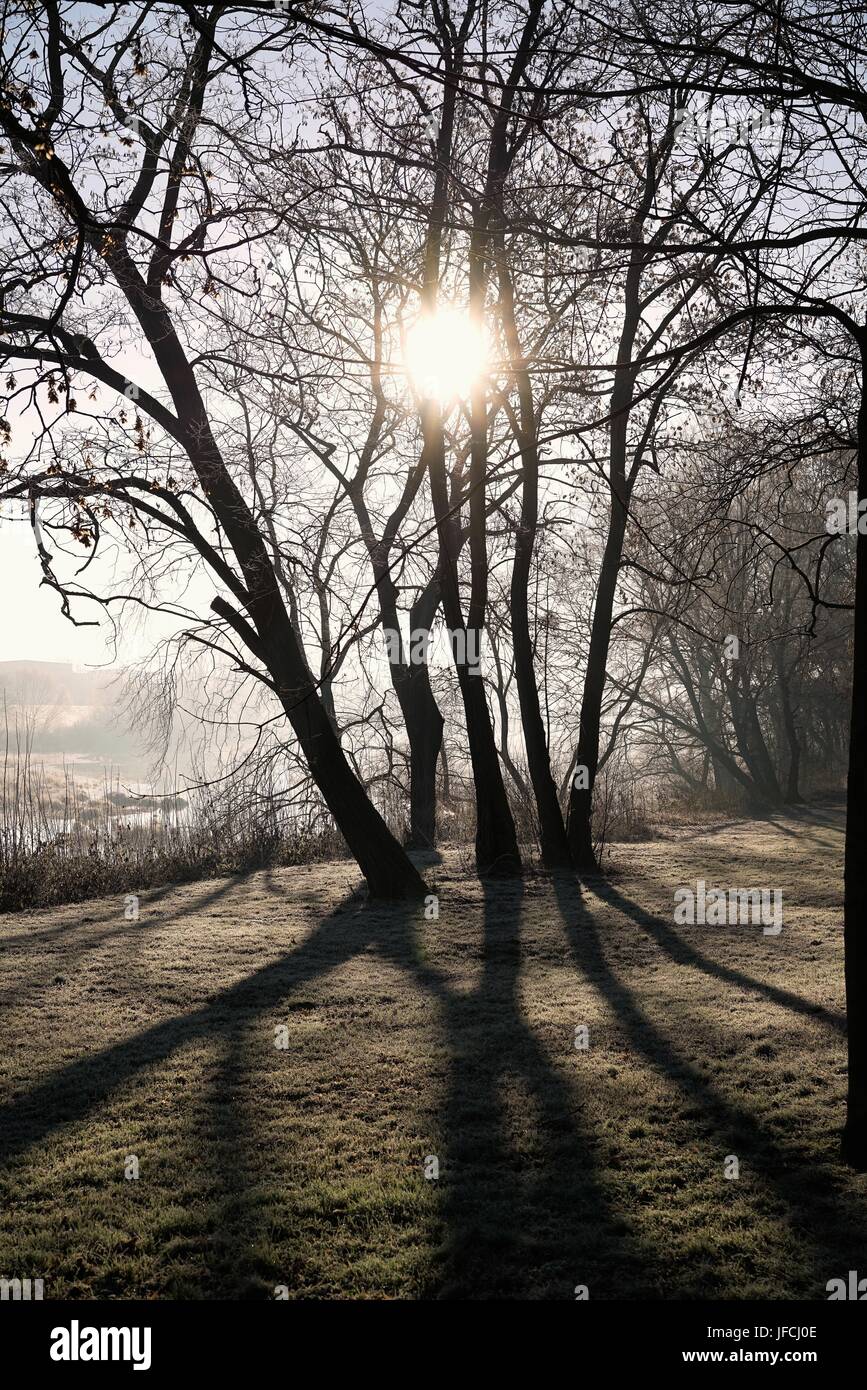 Sunrise nel parco della città di Magdeburgo Foto Stock