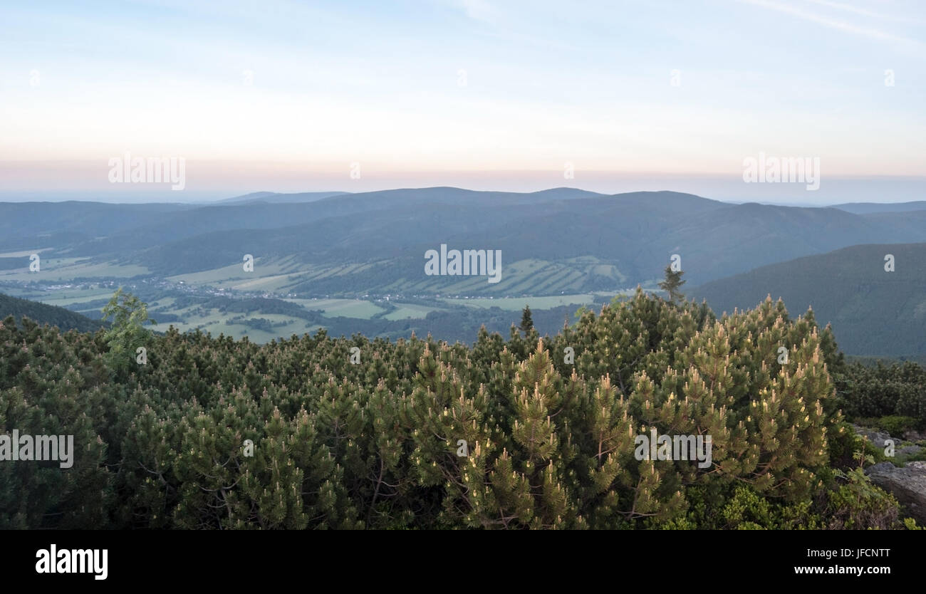 Serata Panorama da Cervena hora hill in Jeseniky montagne nella Repubblica Ceca con Rychlebske hory e Kralicky Sneznik gamme della montagna, la valle con Foto Stock