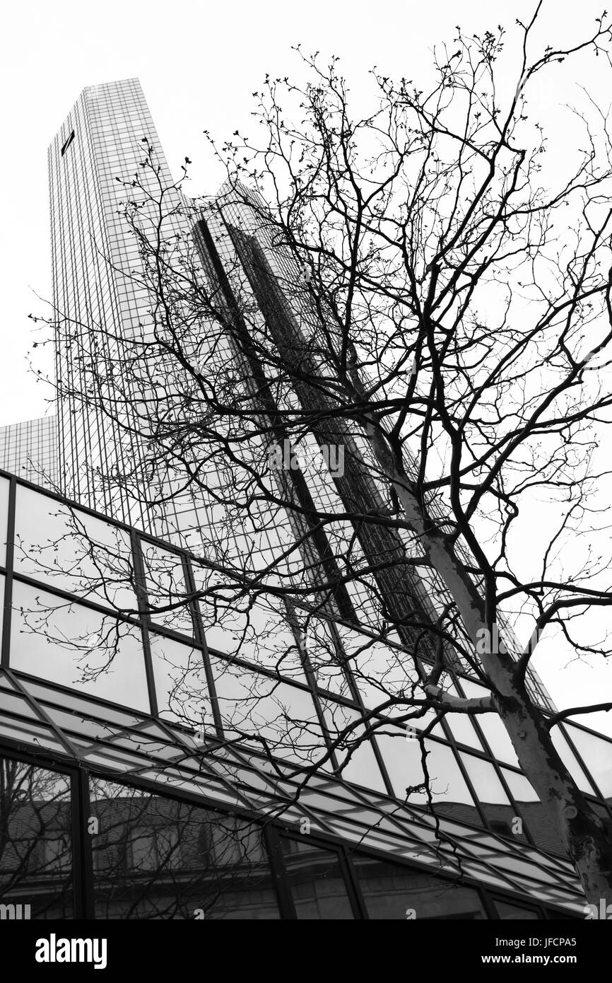 Torre di uffici e tree - Natura e tecnologia concetto. Immagine in bianco e nero Foto Stock