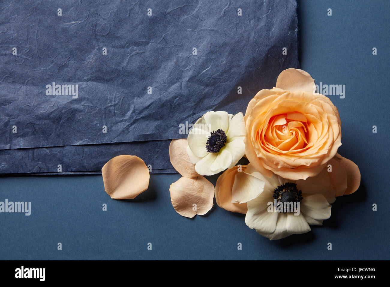 Fiori nero con un pezzo di carta Foto Stock