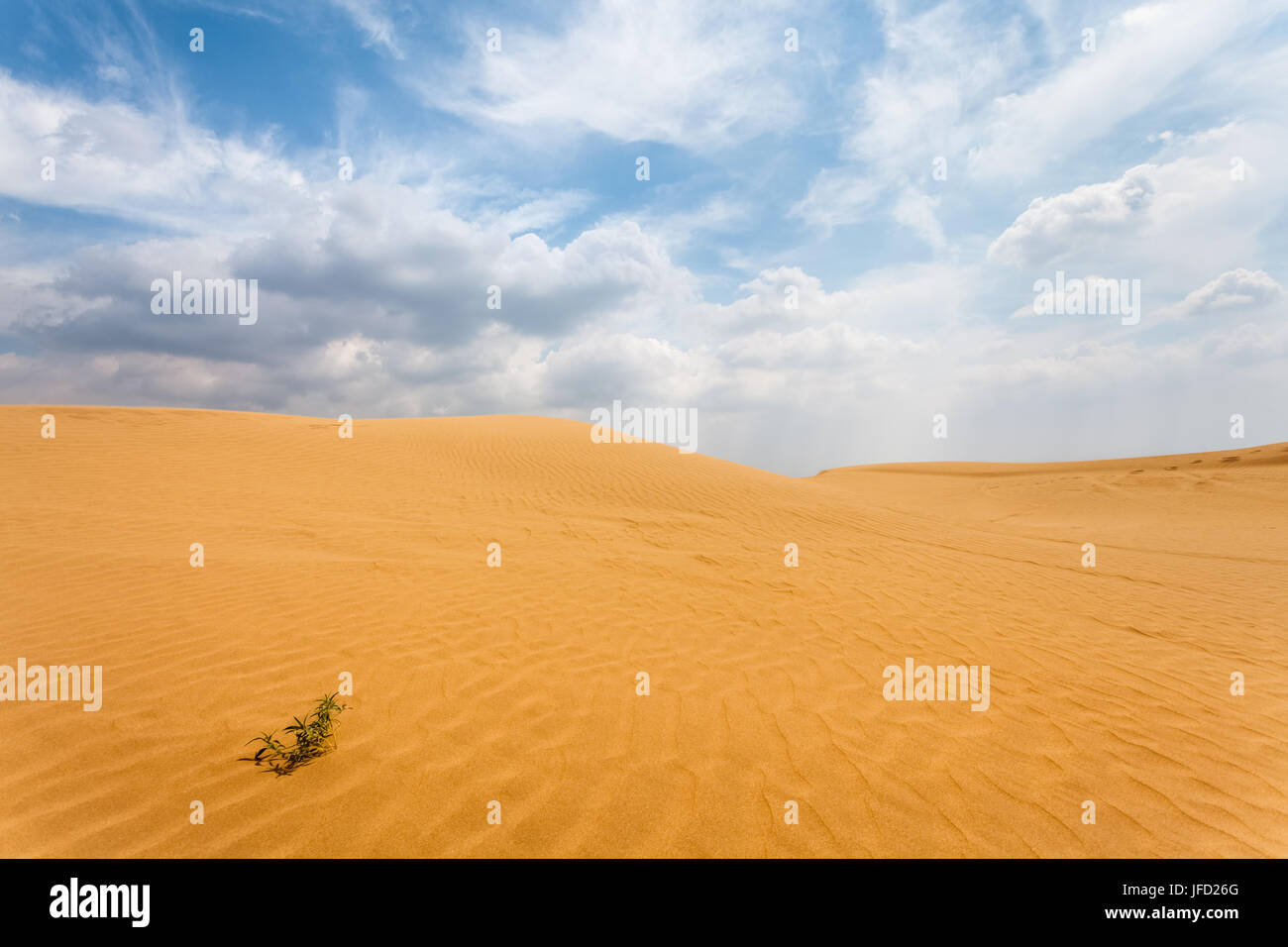 Dune del deserto sullo sfondo Foto Stock