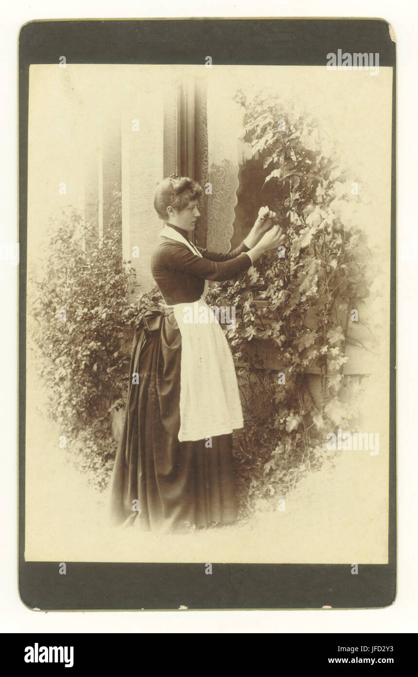 Affascinante originale cartolina fotografia di una bella signora della casa che indossa un grembiule e un vestito trambusto nel suo giardino, raccogliendo una rosa, circa all'inizio del 1880, Regno Unito Foto Stock