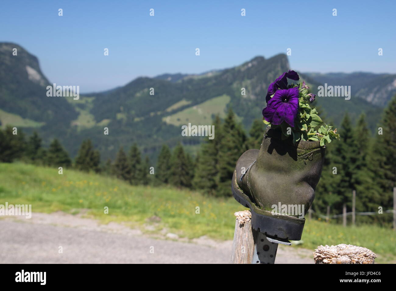 Escursionismo scarpa piantato Foto Stock