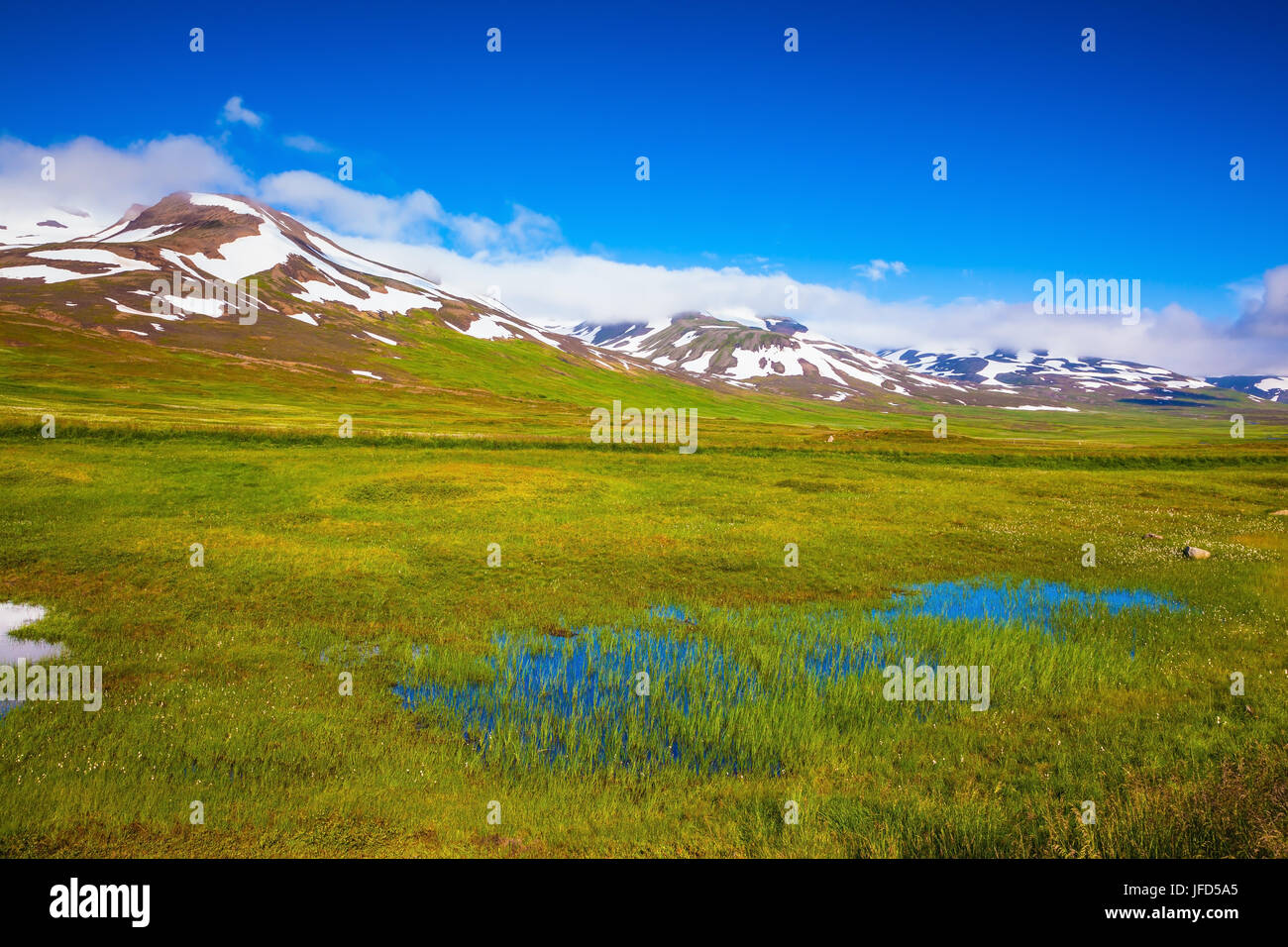 Estate in Islanda. Piccolo lago tra i campi Foto Stock