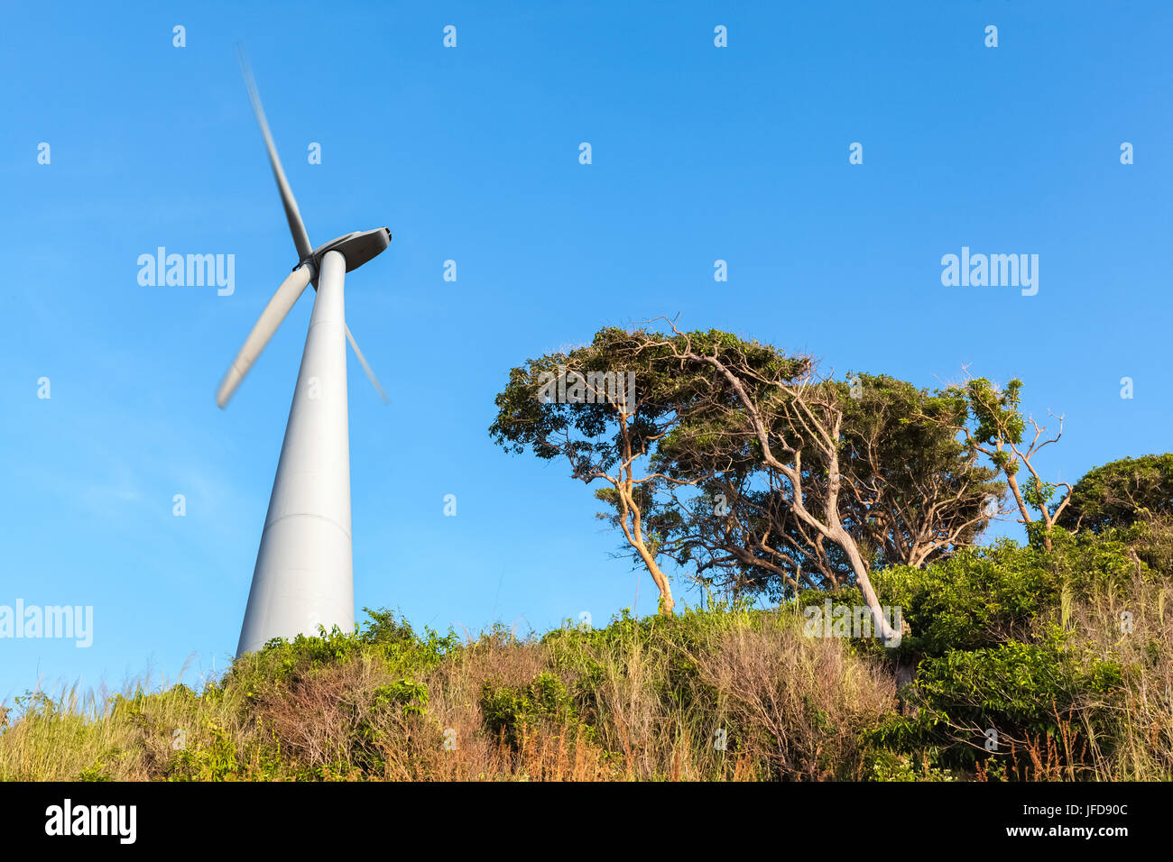 Turbine eoliche sul mare Foto Stock