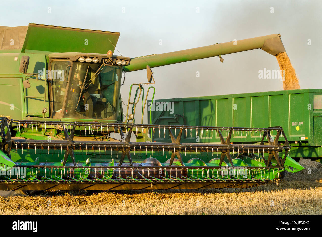 Lo scarico del grano da una mietitrebbia ad un rimorchio, Nottinghamshire, England, Regno Unito Foto Stock