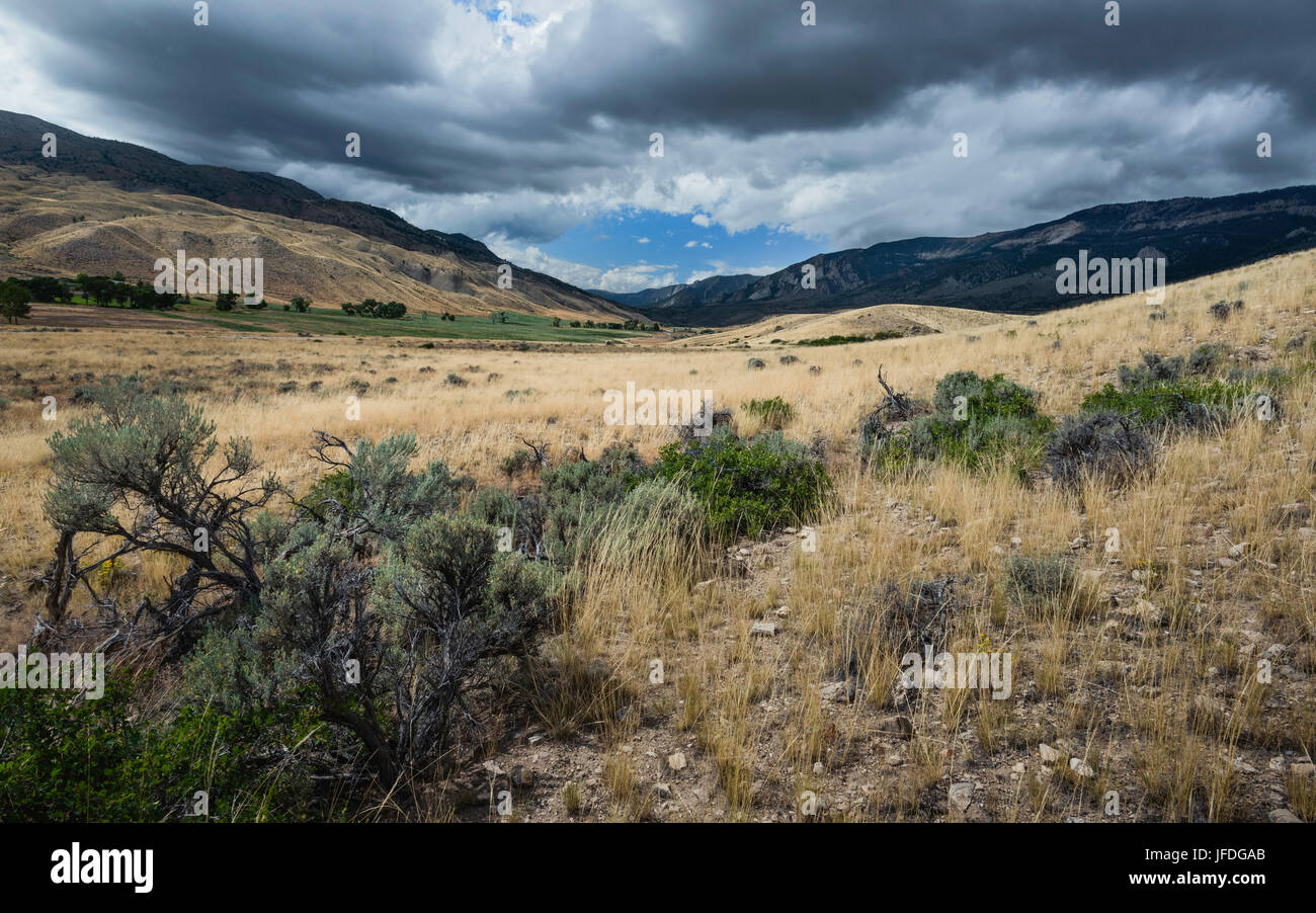 Le praterie aride con sagebrush, secco prati e montagne rocciose e scorcio di verde su un luminoso giorno soleggiato vicino a Cody, Wyoming negli Stati Uniti. Foto Stock