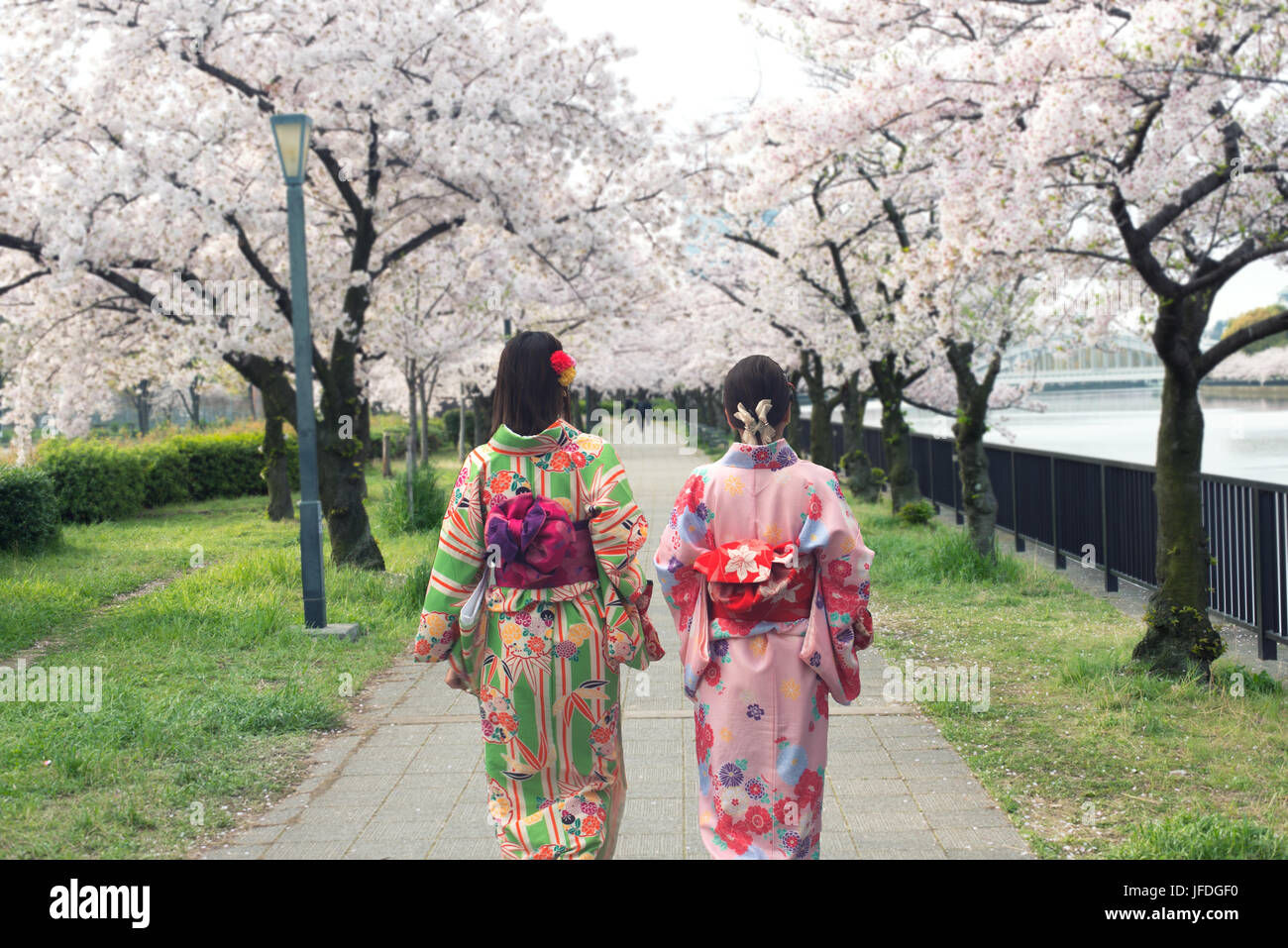 Coppia donne asiatiche indossando il tradizionale kimono giapponese Sakura nel giardino di Osaka in Giappone. Foto Stock
