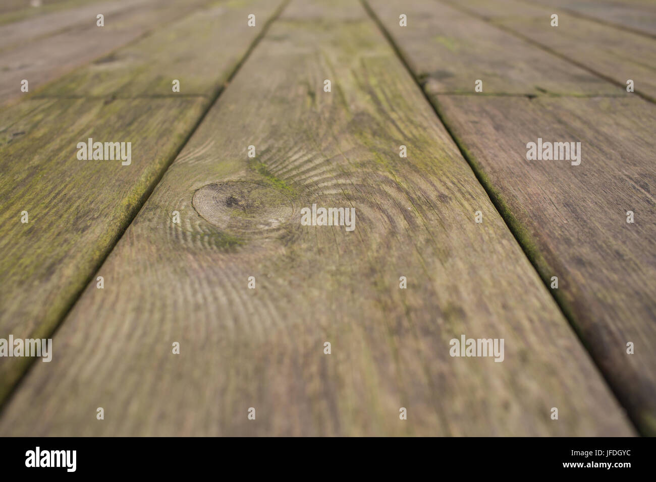 Close up fotografia di sporco decking doghe in legno, illustrato con vista prospettica Foto Stock