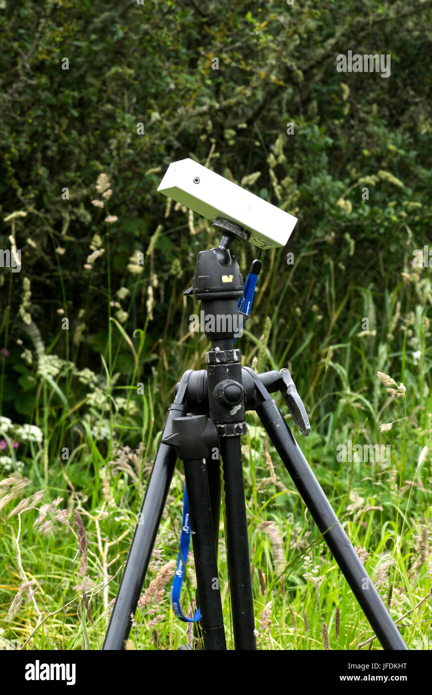 Questo rilevatore è impostato per registrare la bat le chiamate a una scheda SD. Questi vengono poi scaricati e un software speciale è usato per determinare la specie di pipistrelli Foto Stock