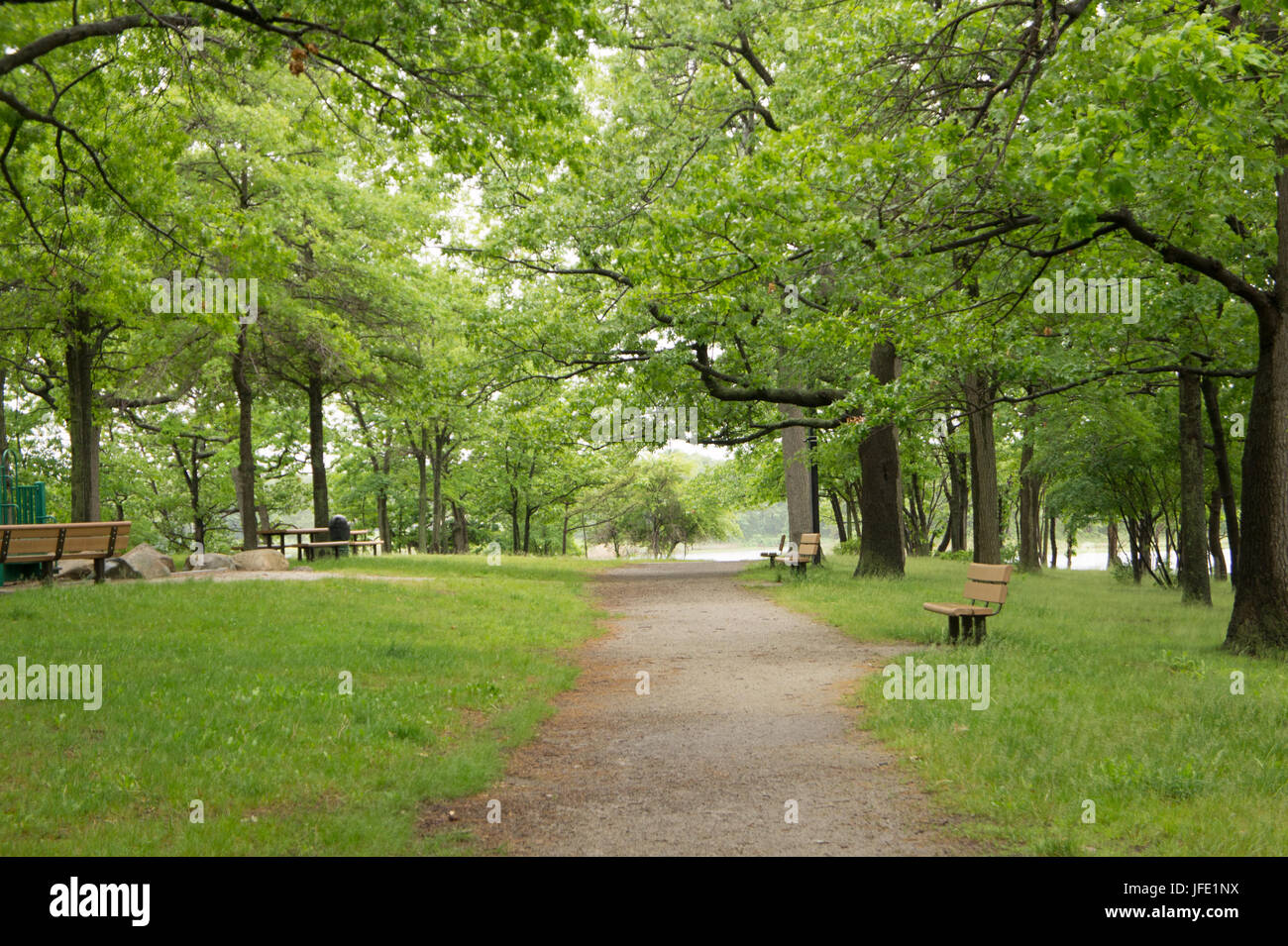 Terreno di conservazione: Caddy Memorial Park a Quincy, ma Foto Stock