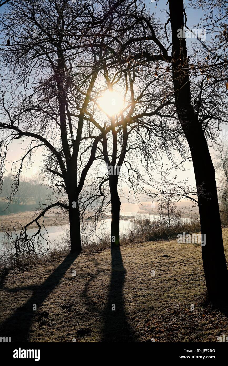 Sunrise in un parco a Magdeburg Foto Stock