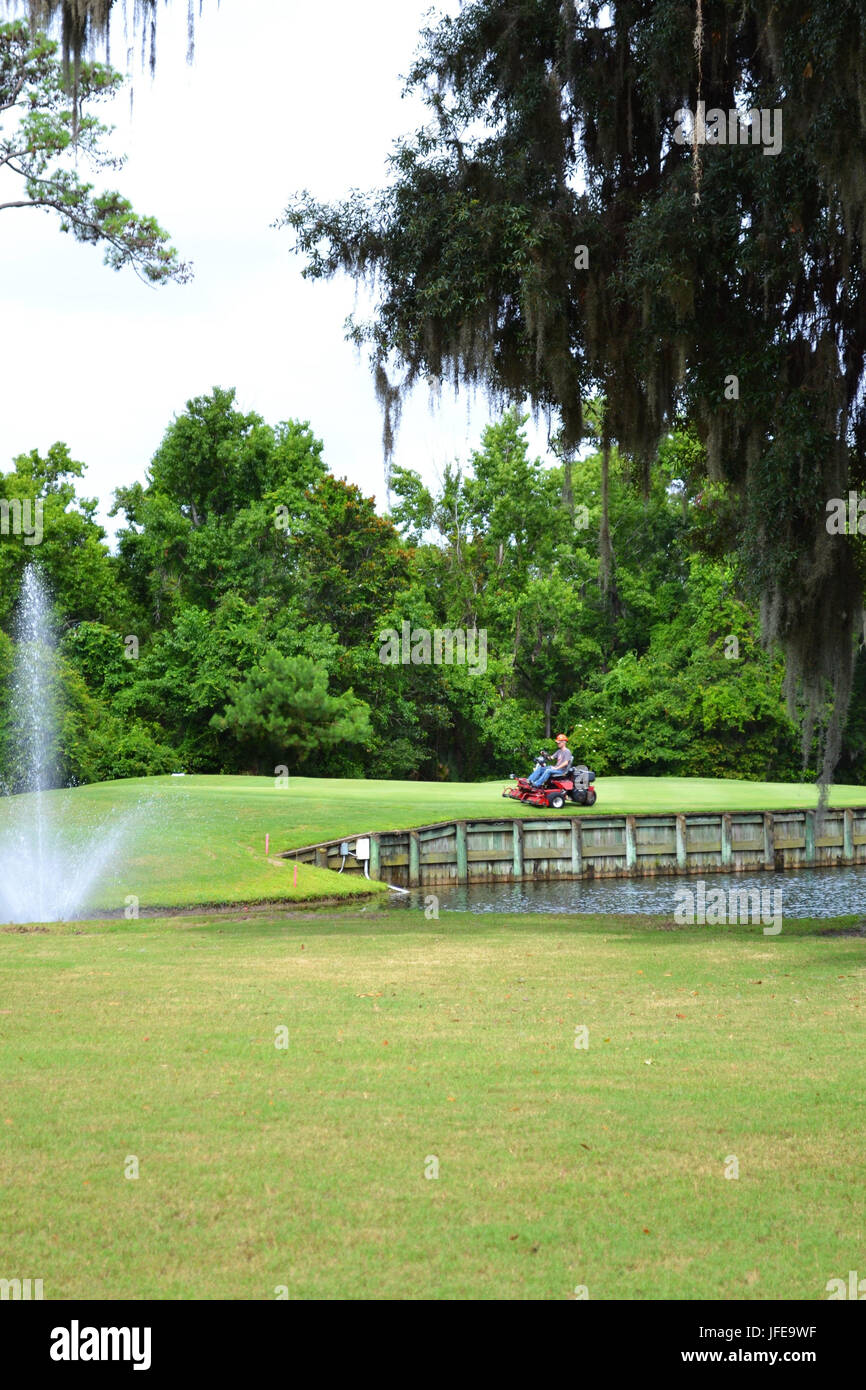 L'uomo la falciatura di un campo da golf green in Florida USA. Foto Stock