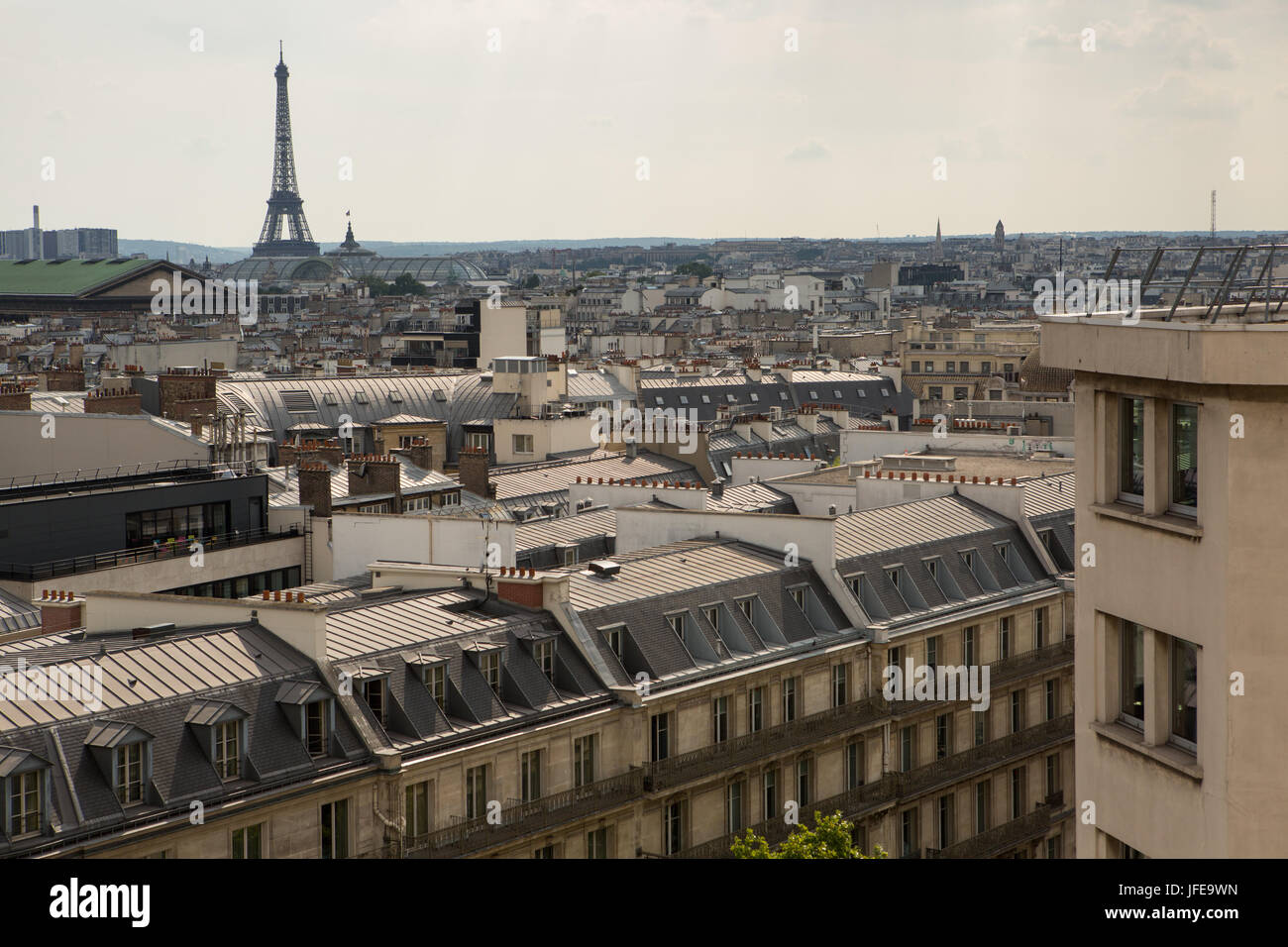 La Torre Eiffel domina il paesaggio urbano di Parigi. Foto Stock