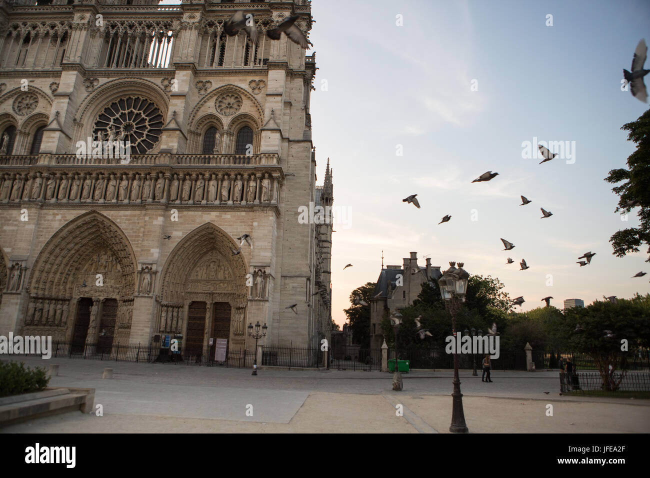 Un branco di piccioni in volo presso la cattedrale di Notre Dame. Foto Stock