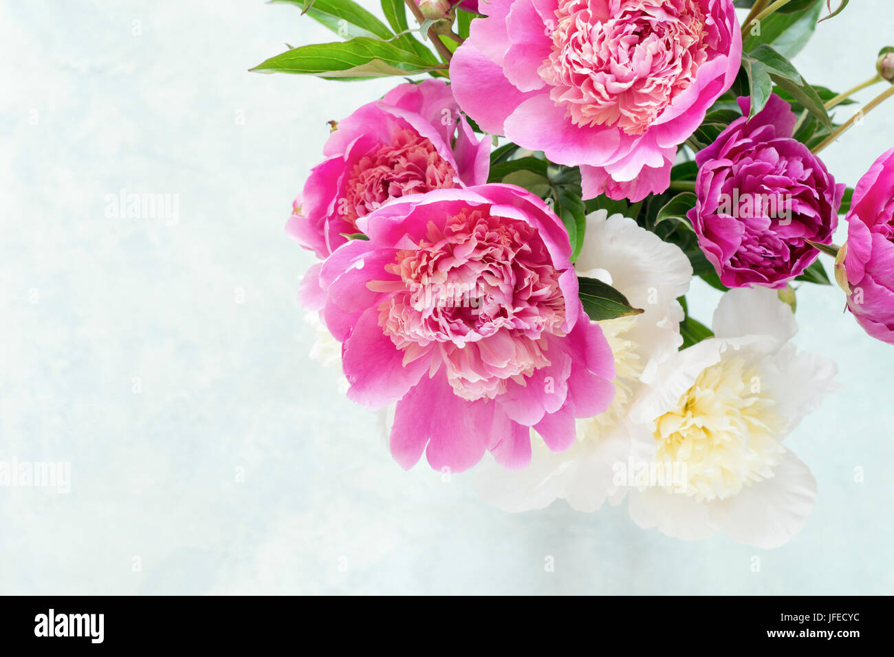 Le Peonie. Bel bouquet di rosa bianco e viola le peonie in vaso su sfondo chiaro. Closeup shot il fuoco selettivo. Bouquet di nozze, madri giorno Foto Stock