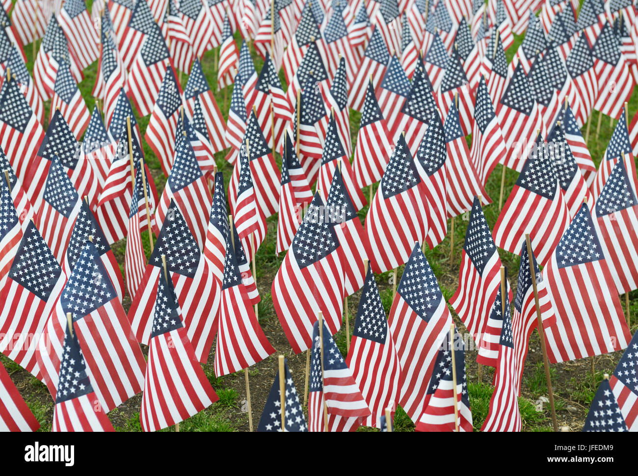 Bandierine americane piantate in memoria dei soldati, Memorial Day, Boston, MA Foto Stock