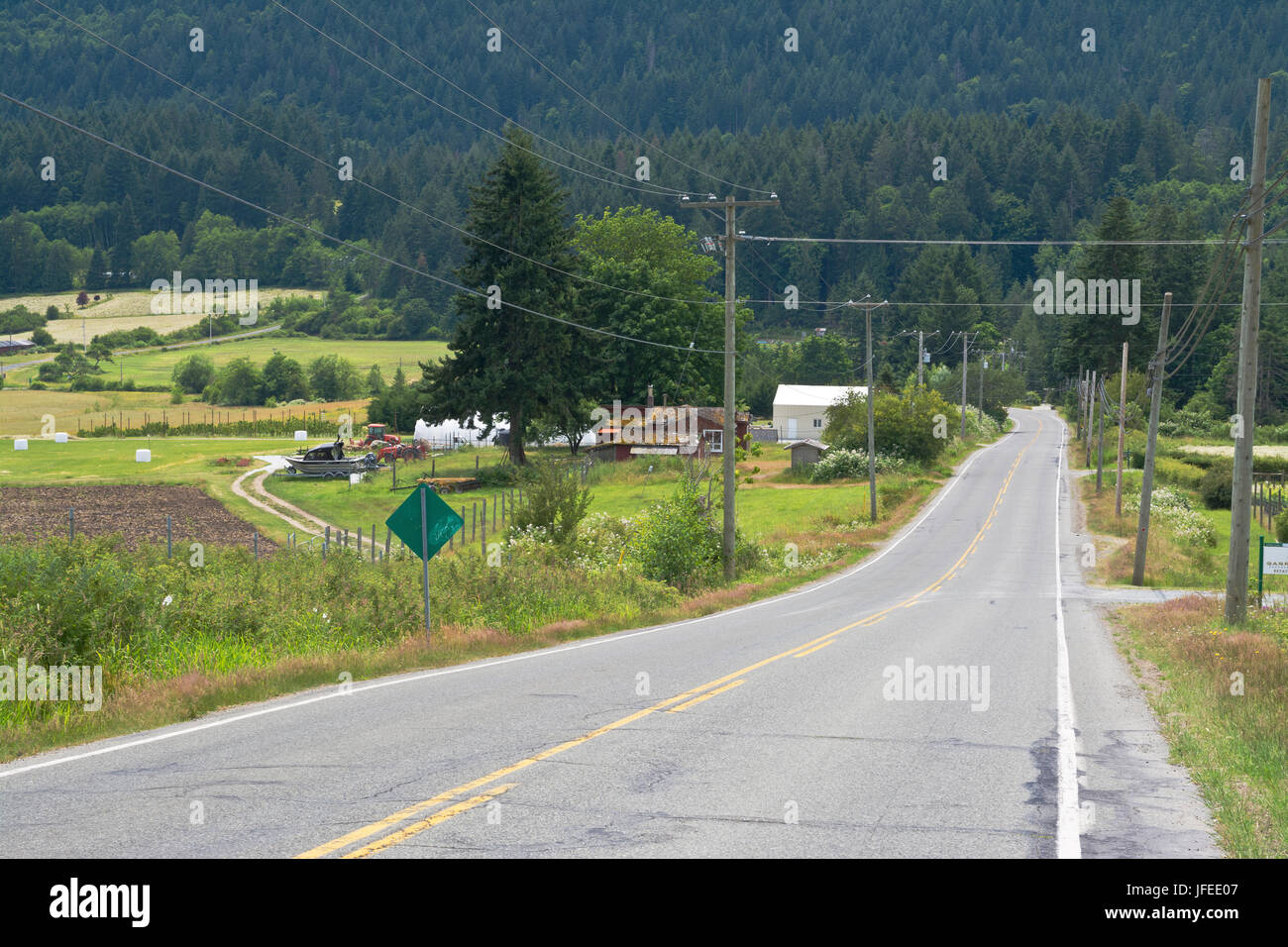 Strada rurale attraverso la splendida Burgoyne Valley a Salt Spring Island, British Columbia, Canada. Fulford Ganges Road, Salt Spring Island, British Columbia Foto Stock