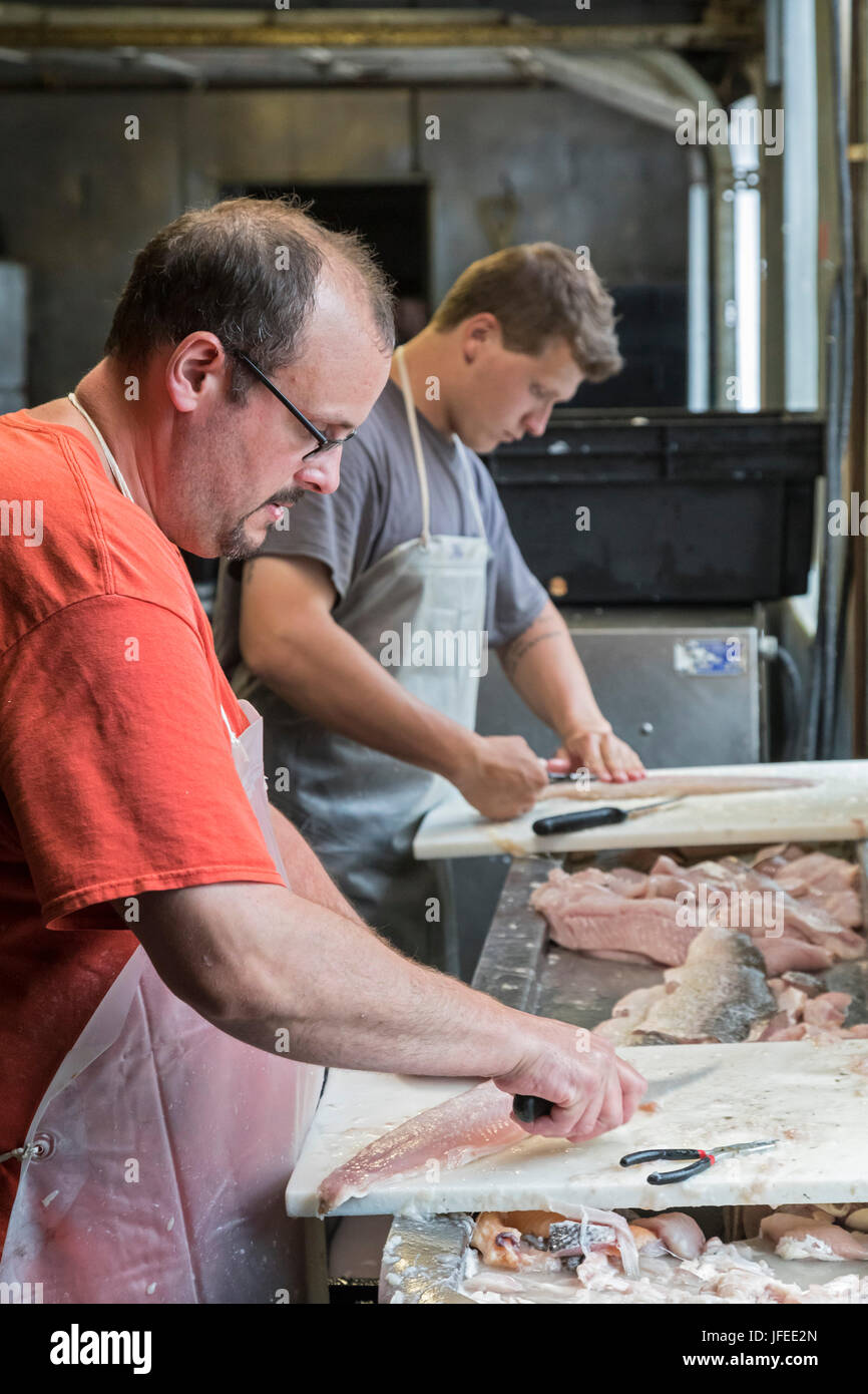 Charlevoix, Michigan - Lavoratori pulire e filetto coregoni presso la John Cross Mercato del Pesce. I pesci sono stati catturati nel lago Michigan. Foto Stock