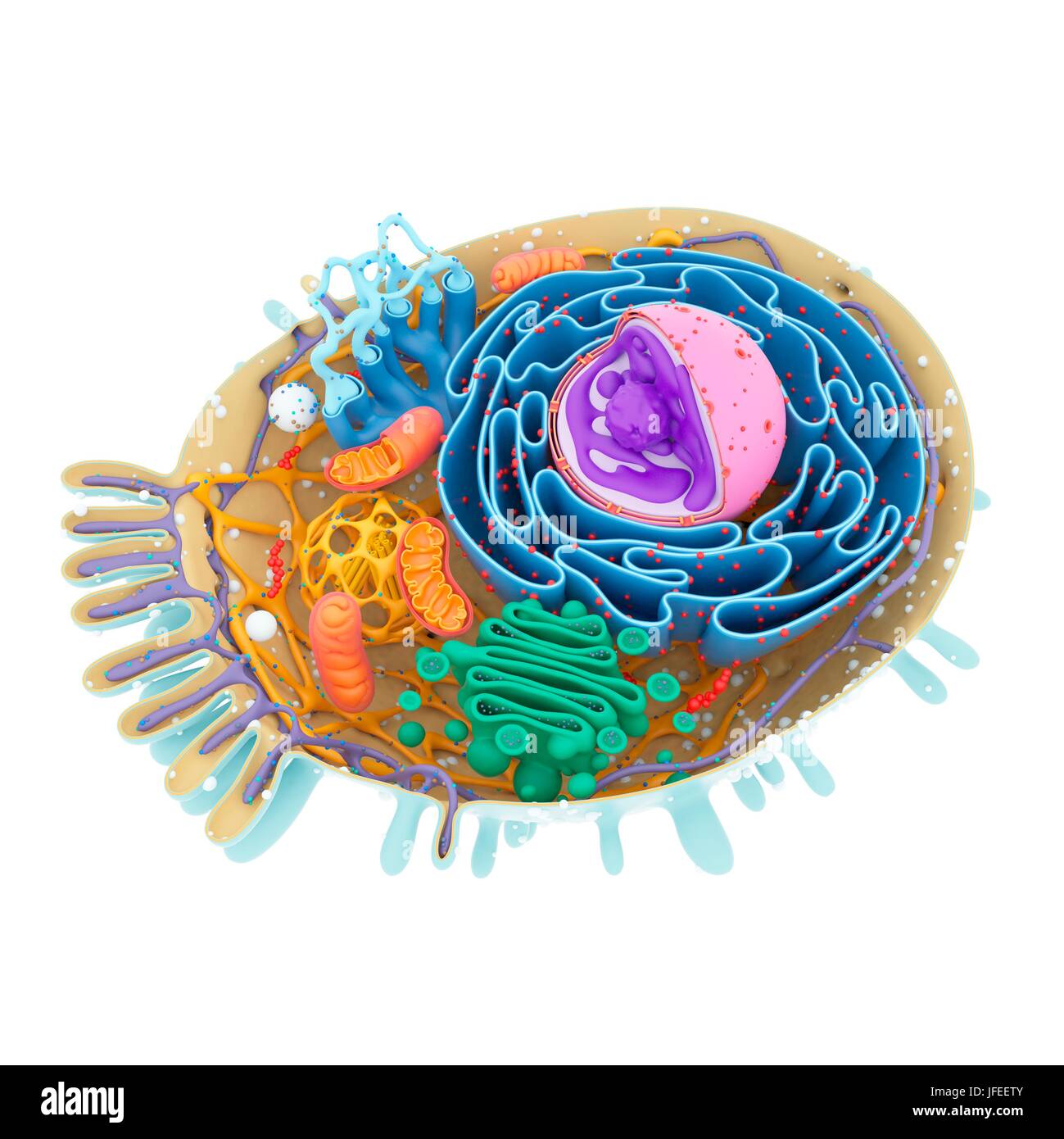Struttura di cella, illustrazione. Foto Stock