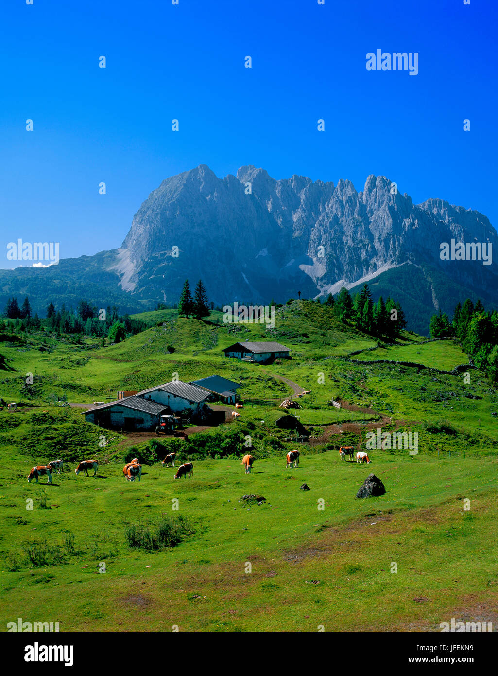 Austria, Tirolo, villaggio Kirch, Sprissleralm contro Wilder Kaiser Foto Stock