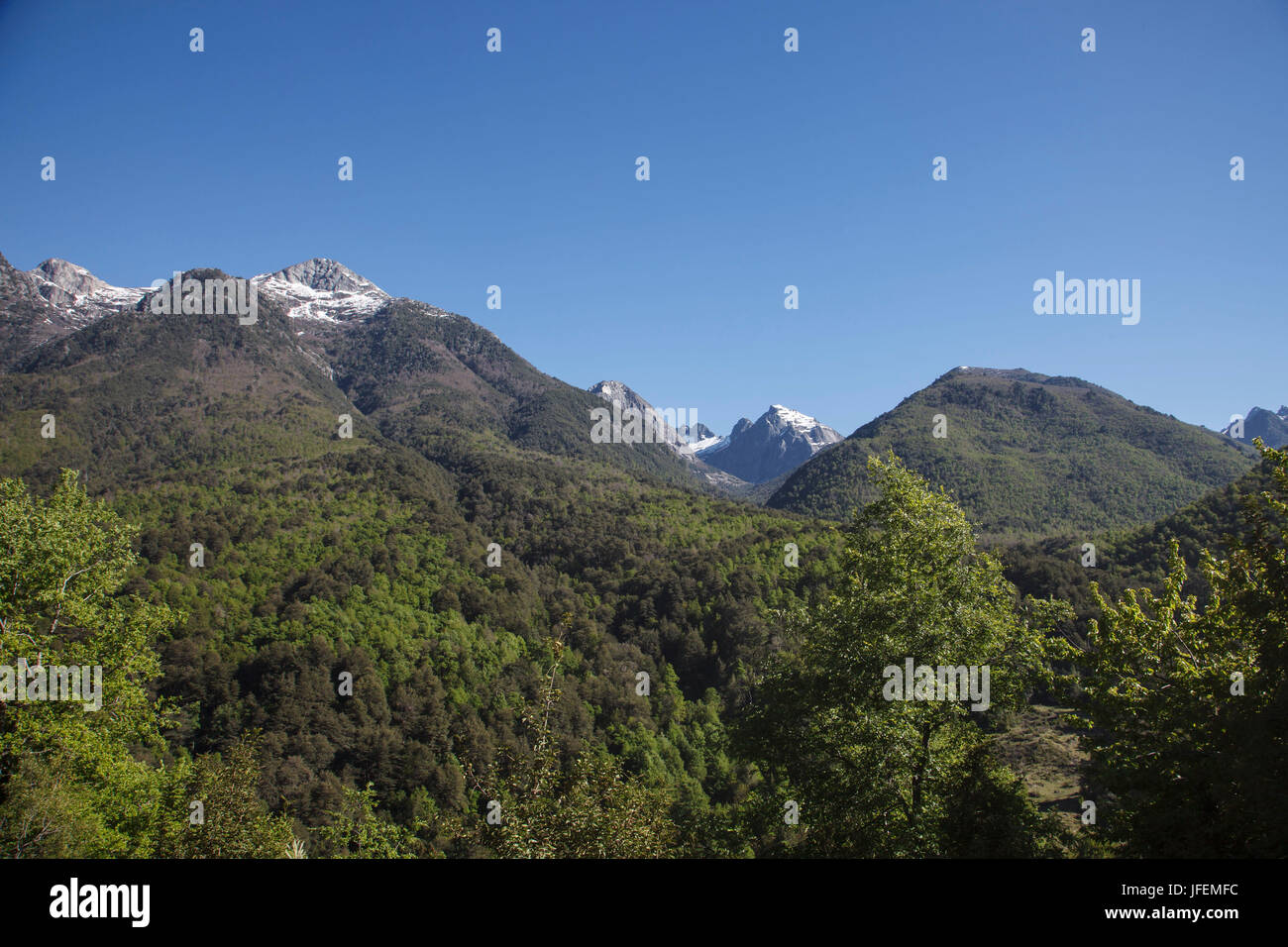 Il Cile, Araucania, Alto bio bio, Mapuche, montagne, legno Foto Stock