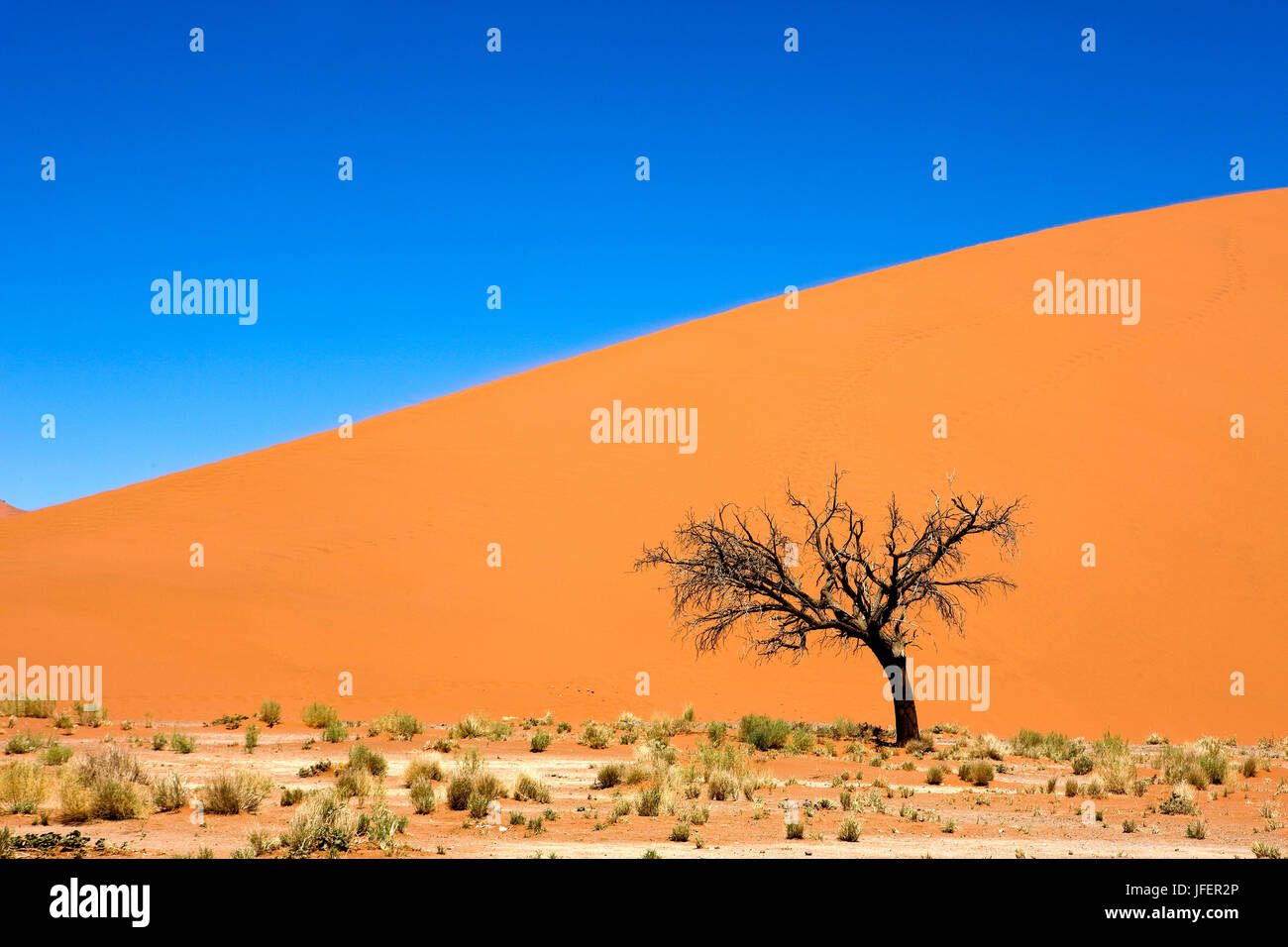 Deserto del Namib, Parco Namib-Naukluft, Sossusvlei Dunes, delle dune 45, Namibia Foto Stock
