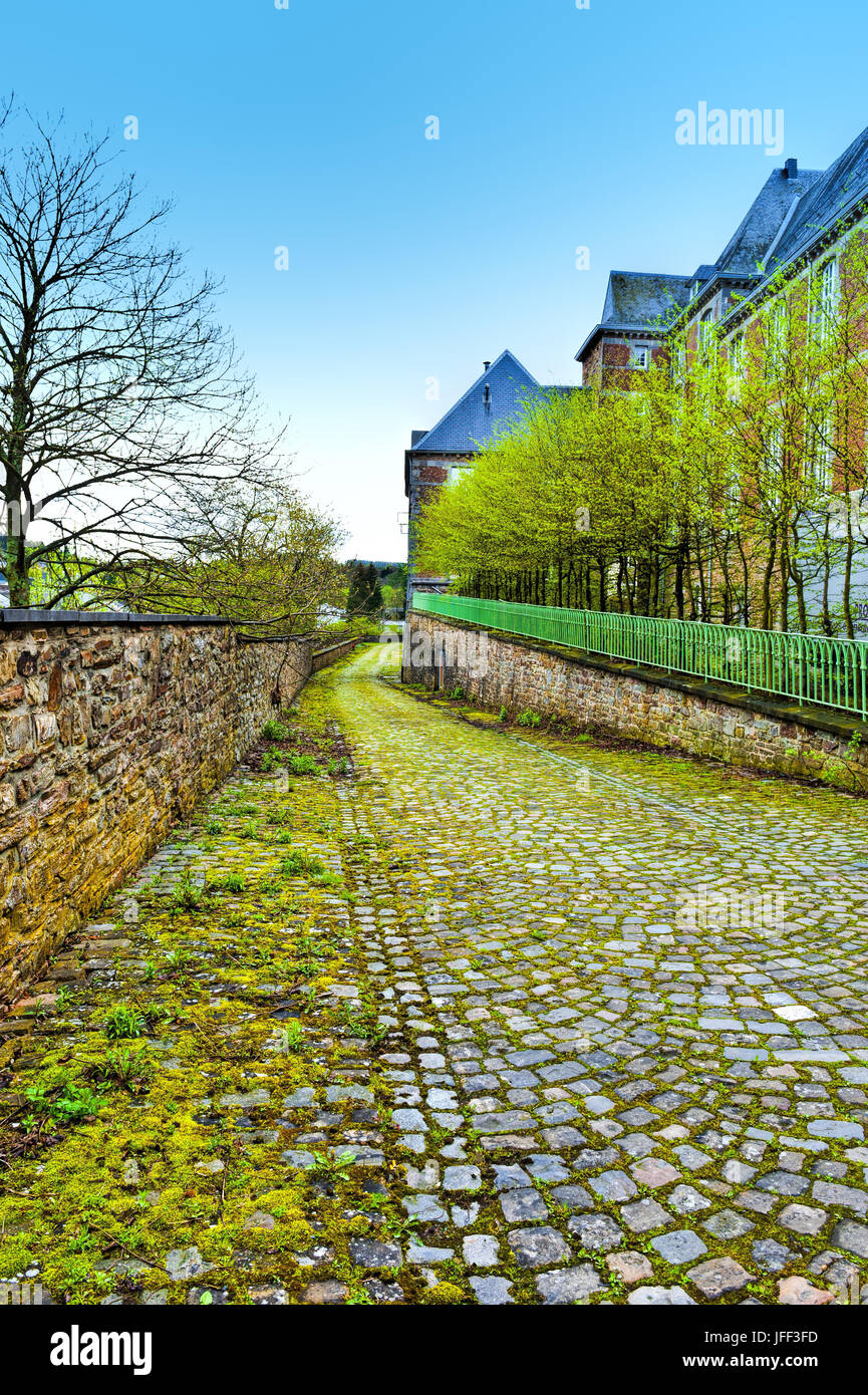 Marciapiede coperto con Moss in Belgio Foto Stock