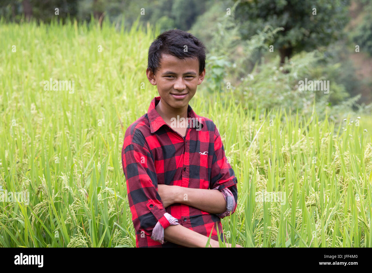 Ragazzo locale in un campo di riso nel quartiere Sindhupalchok, Nepal Foto Stock