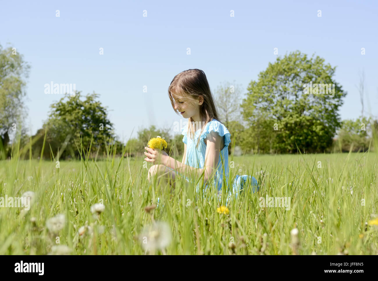 Ragazza con il tarassaco Foto Stock