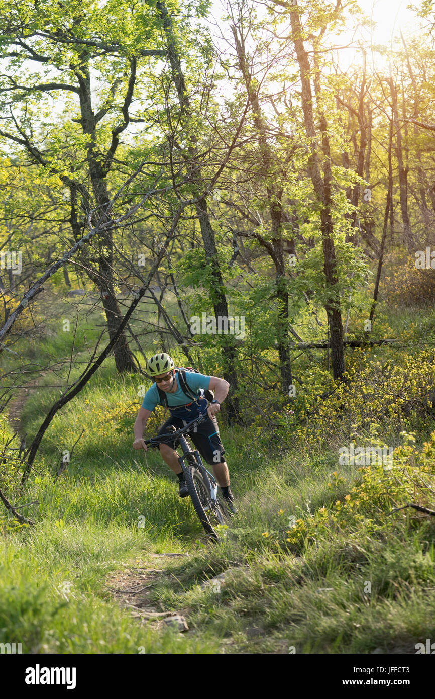 Uomo maturo equitazione mountain bike attraverso la foresta Foto Stock
