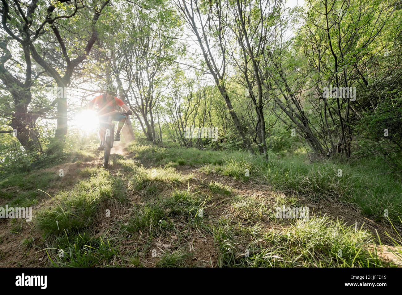 Uomo maturo equitazione mountain bike attraverso la foresta Foto Stock