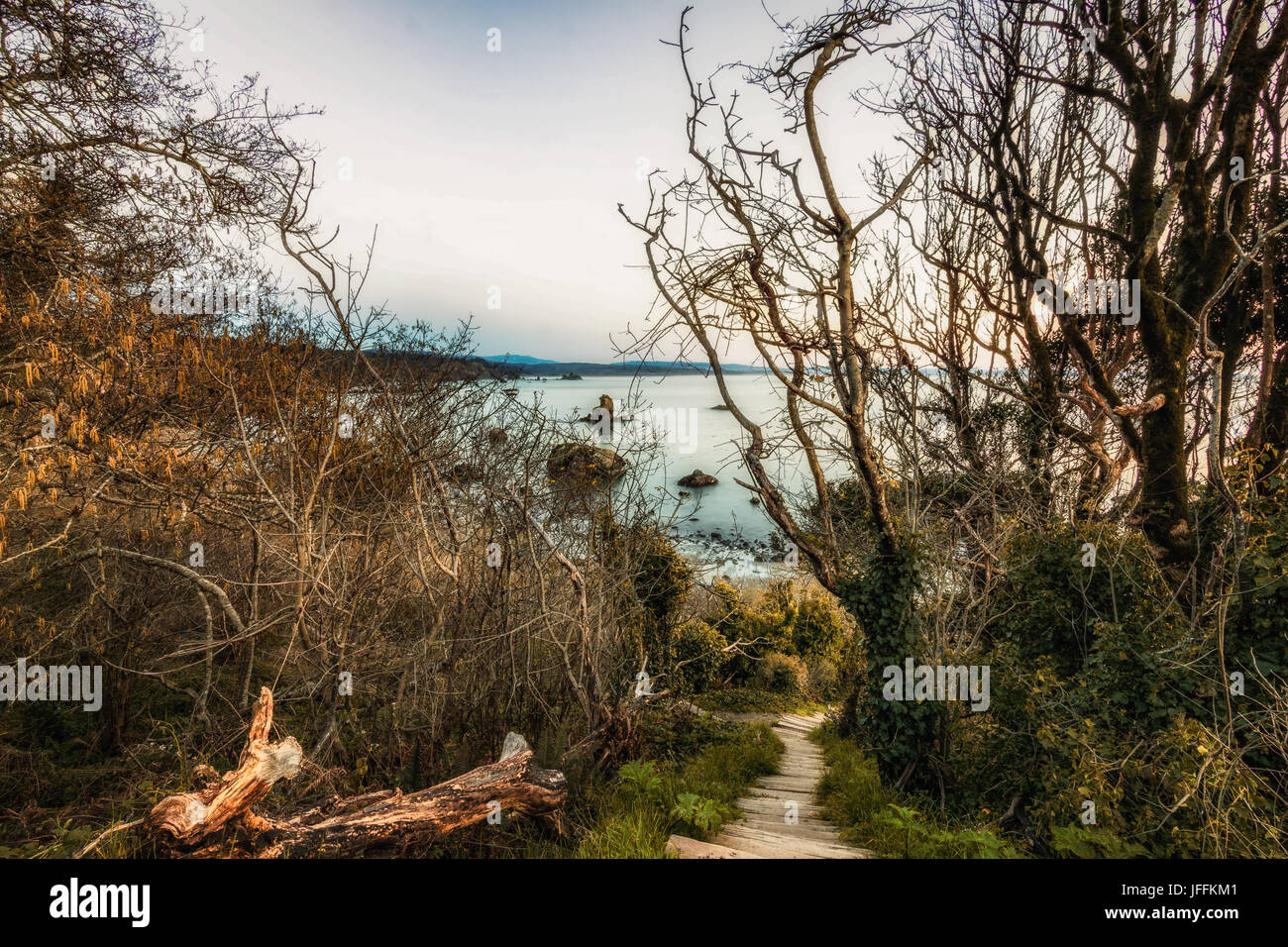 Spiaggia rocciosa e paesaggio Foto Stock