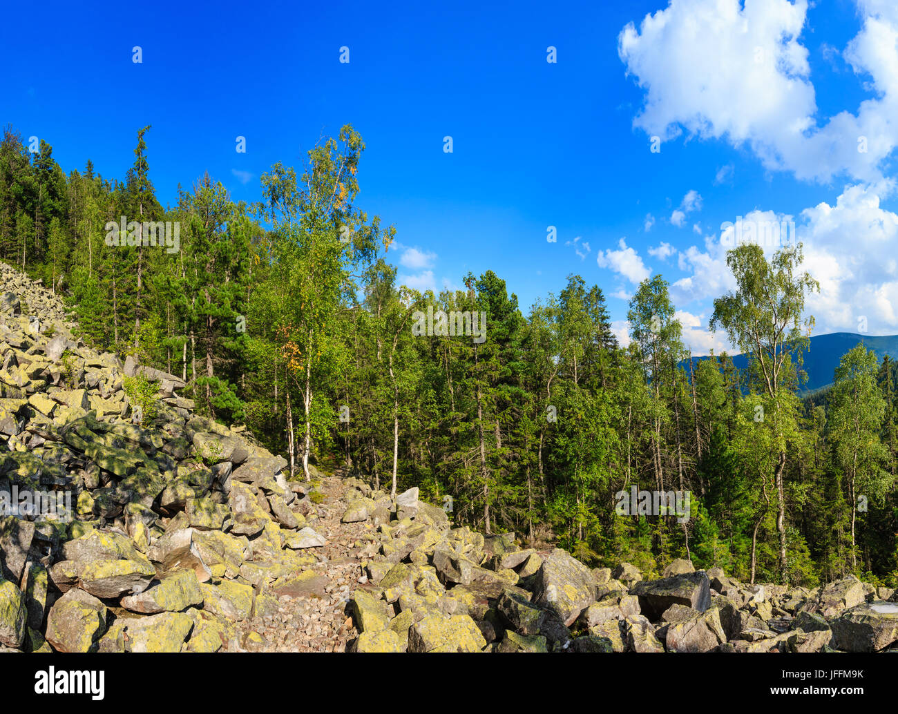 Estate Mountain View (Carpazi, Ucraina). Foto Stock