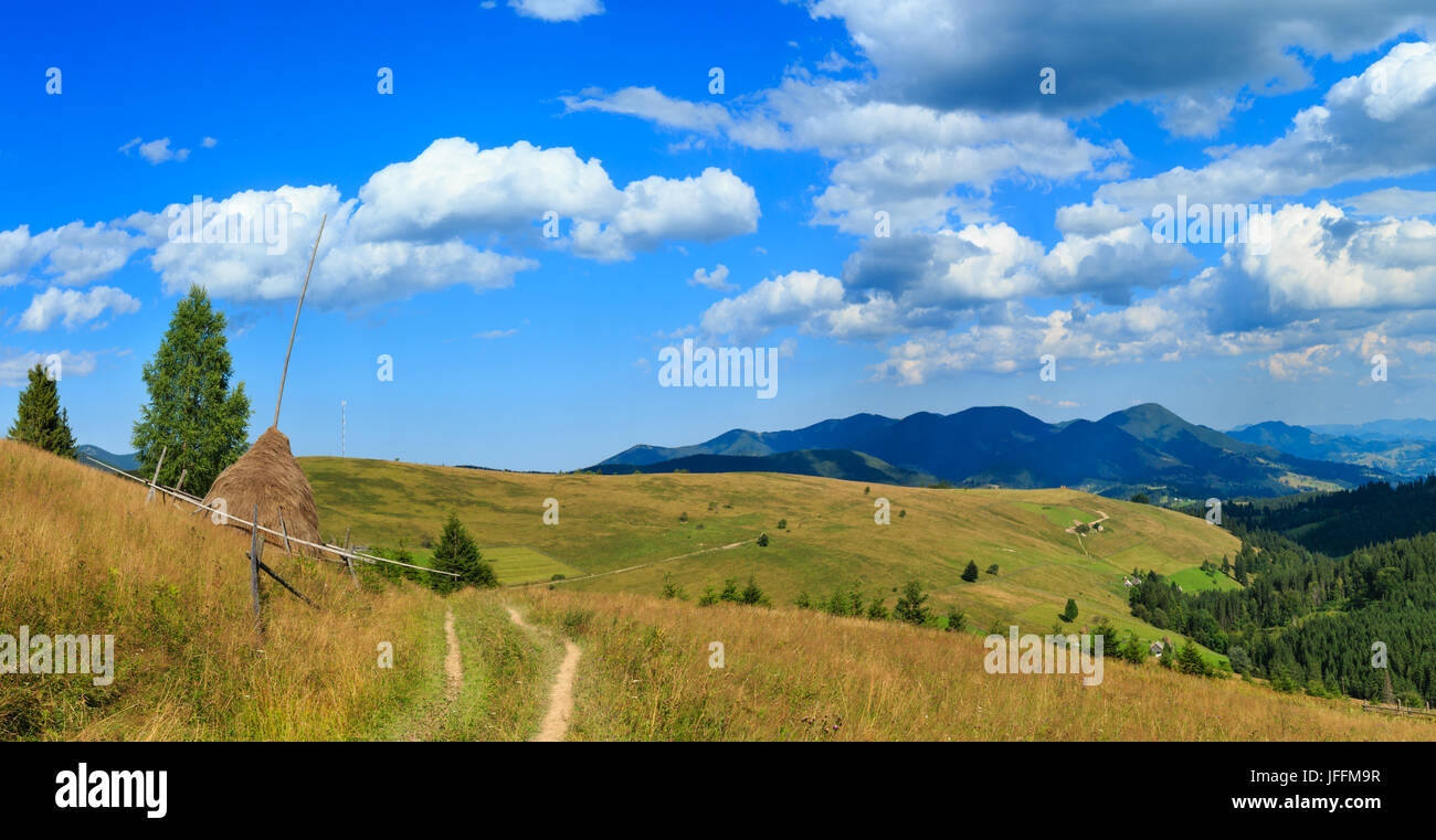 Estate Mountain View (Carpazi, Ucraina). Foto Stock