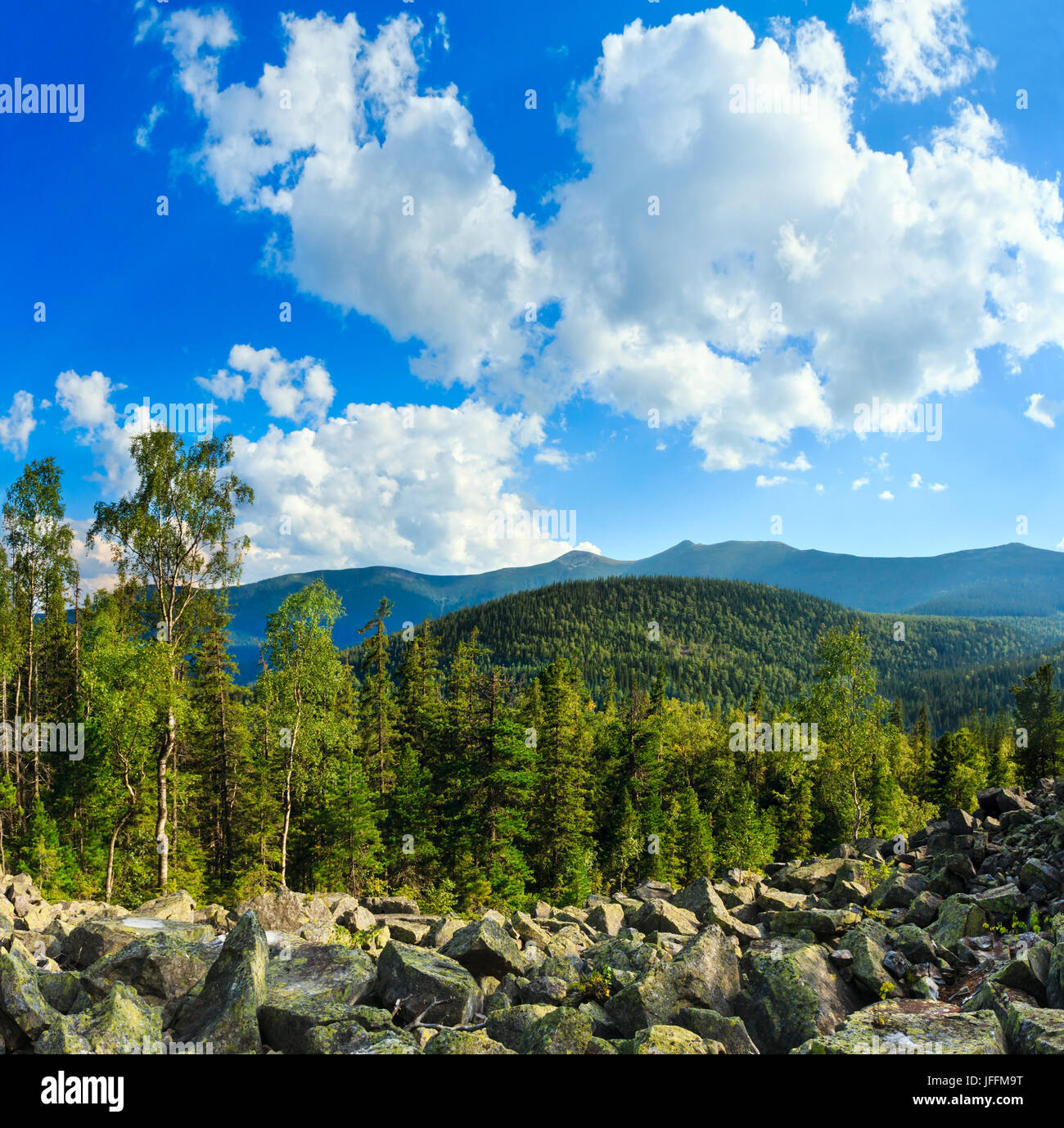 Estate Mountain View (Carpazi, Ucraina). Foto Stock