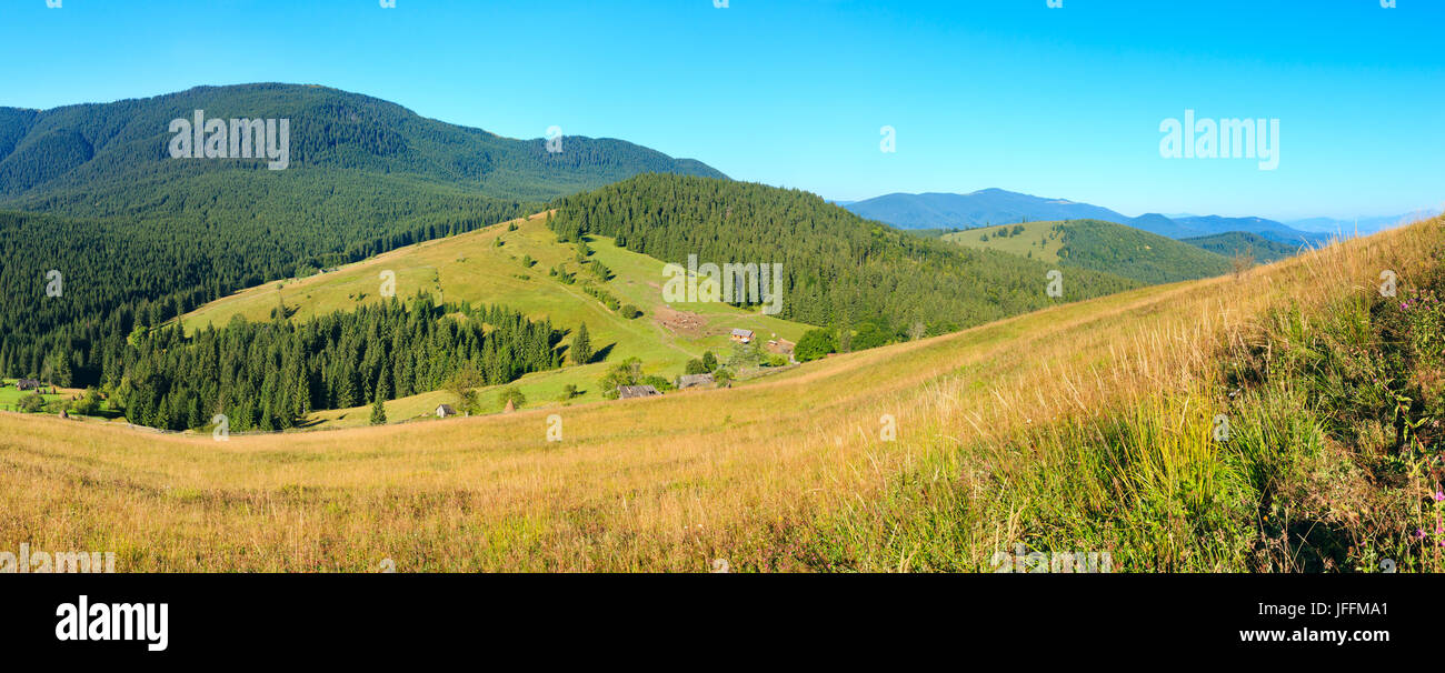Estate Mountain View (Carpazi, Ucraina). Foto Stock