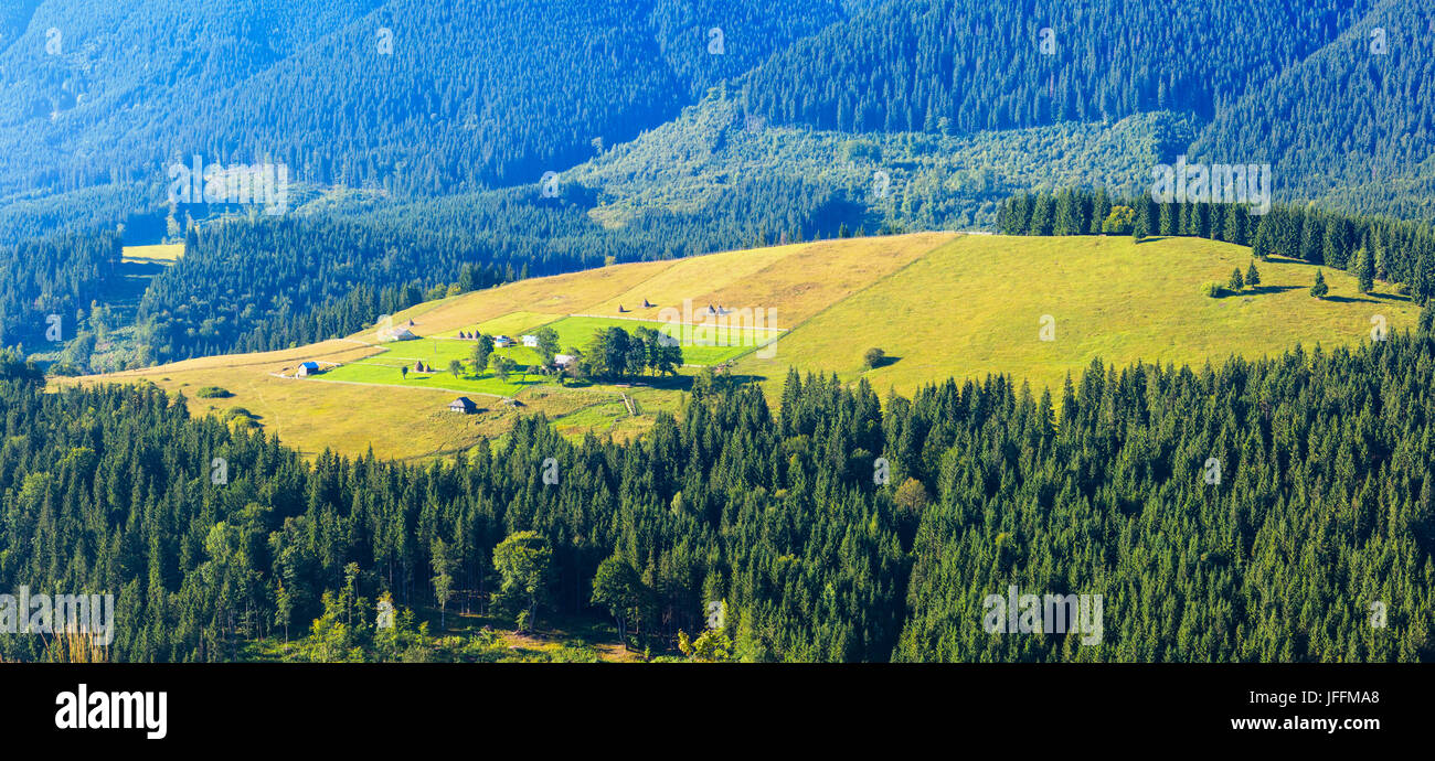 Estate Mountain View (Carpazi, Ucraina). Foto Stock