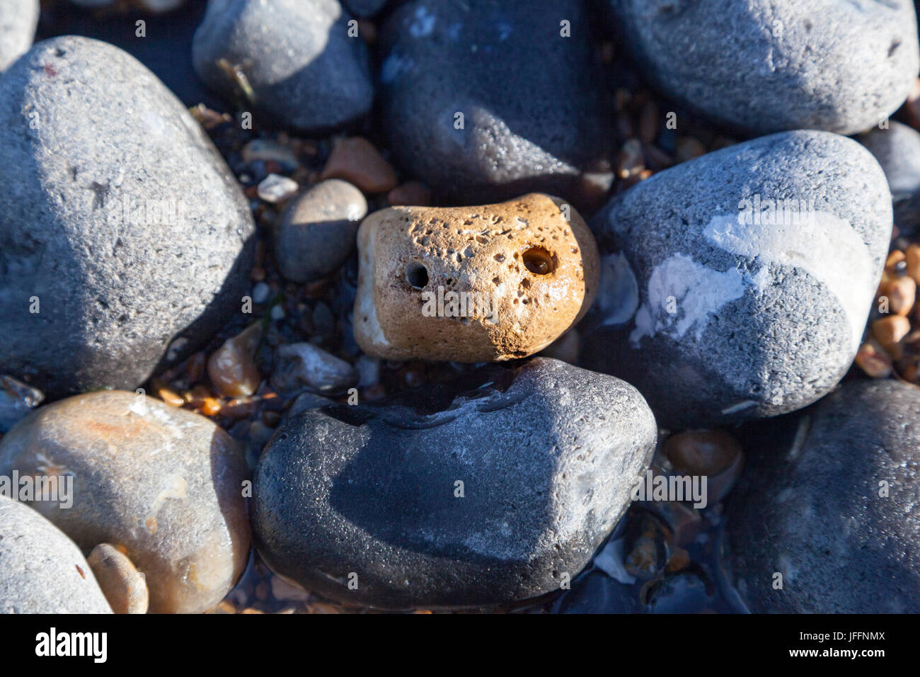 Un simpatico "pet rock' che guarda a voi Foto Stock