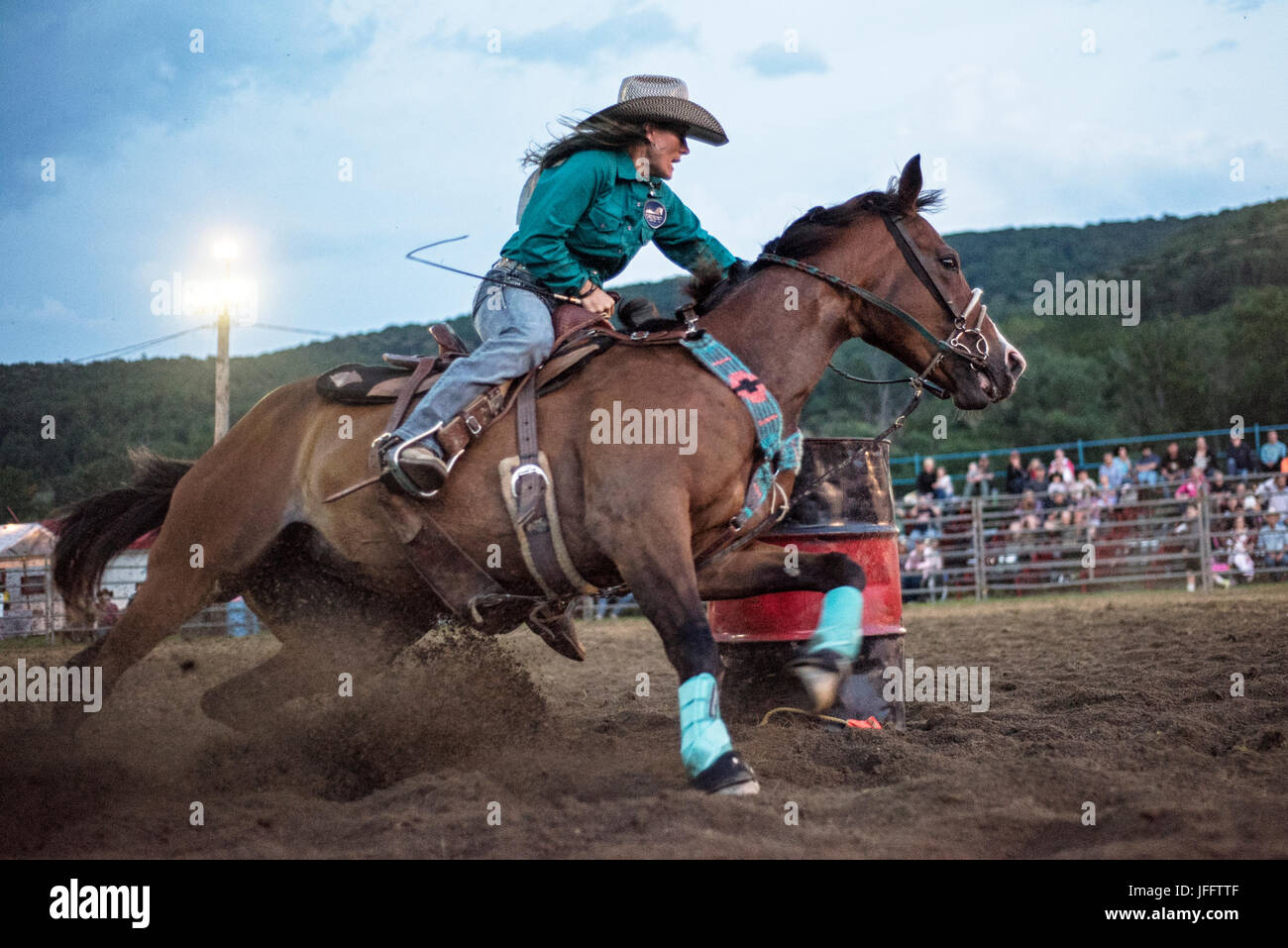 Rodeo, Eliicottville, New York Foto Stock