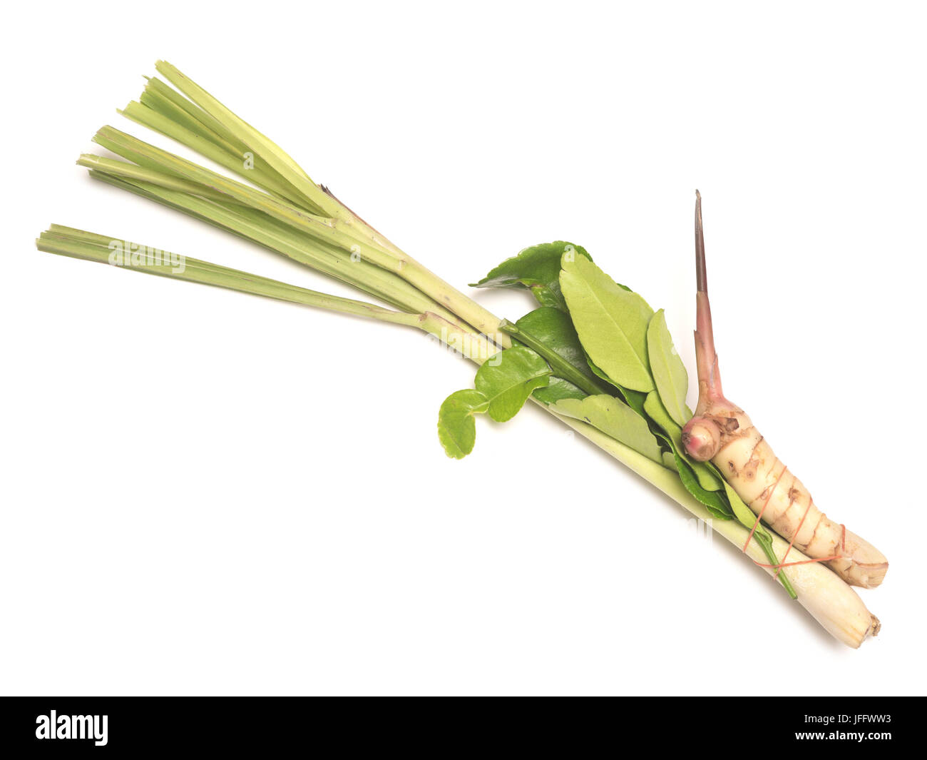 Ingredienti per tom yum Foto Stock