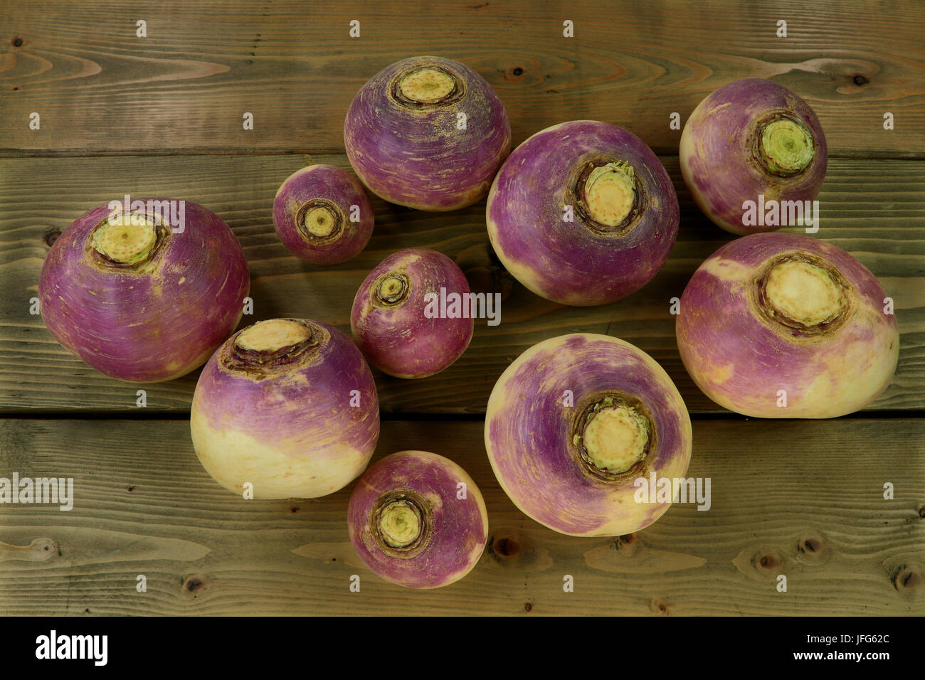 Ortaggi radici di rapa Foto Stock