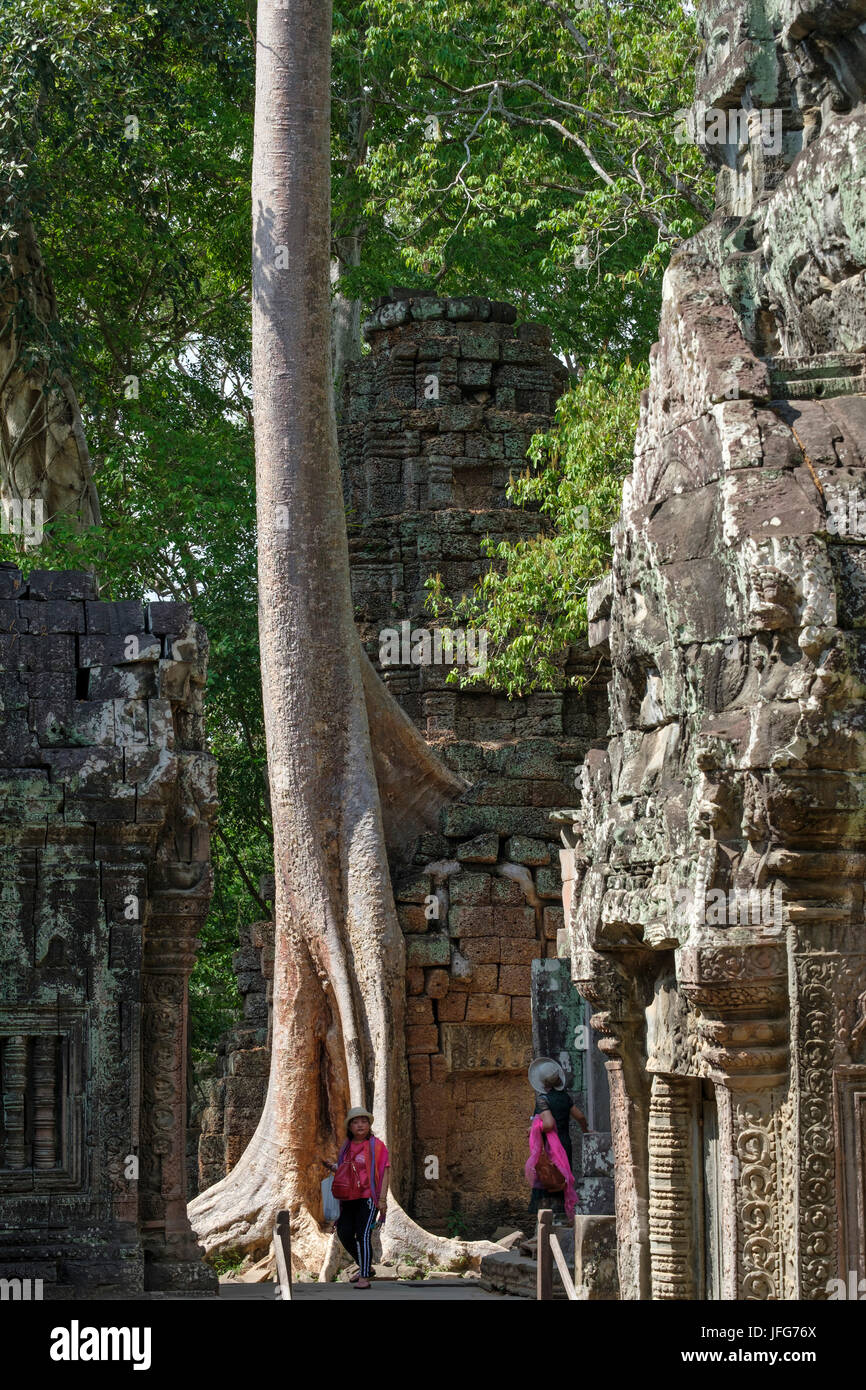 I turisti al Ta Prohm tempio, Siem Reap provincia, Cambogia Foto Stock