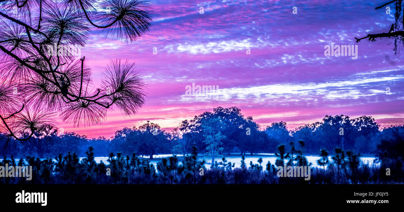 Abstract sunrise paesaggio nella fattoria in Florida Foto Stock