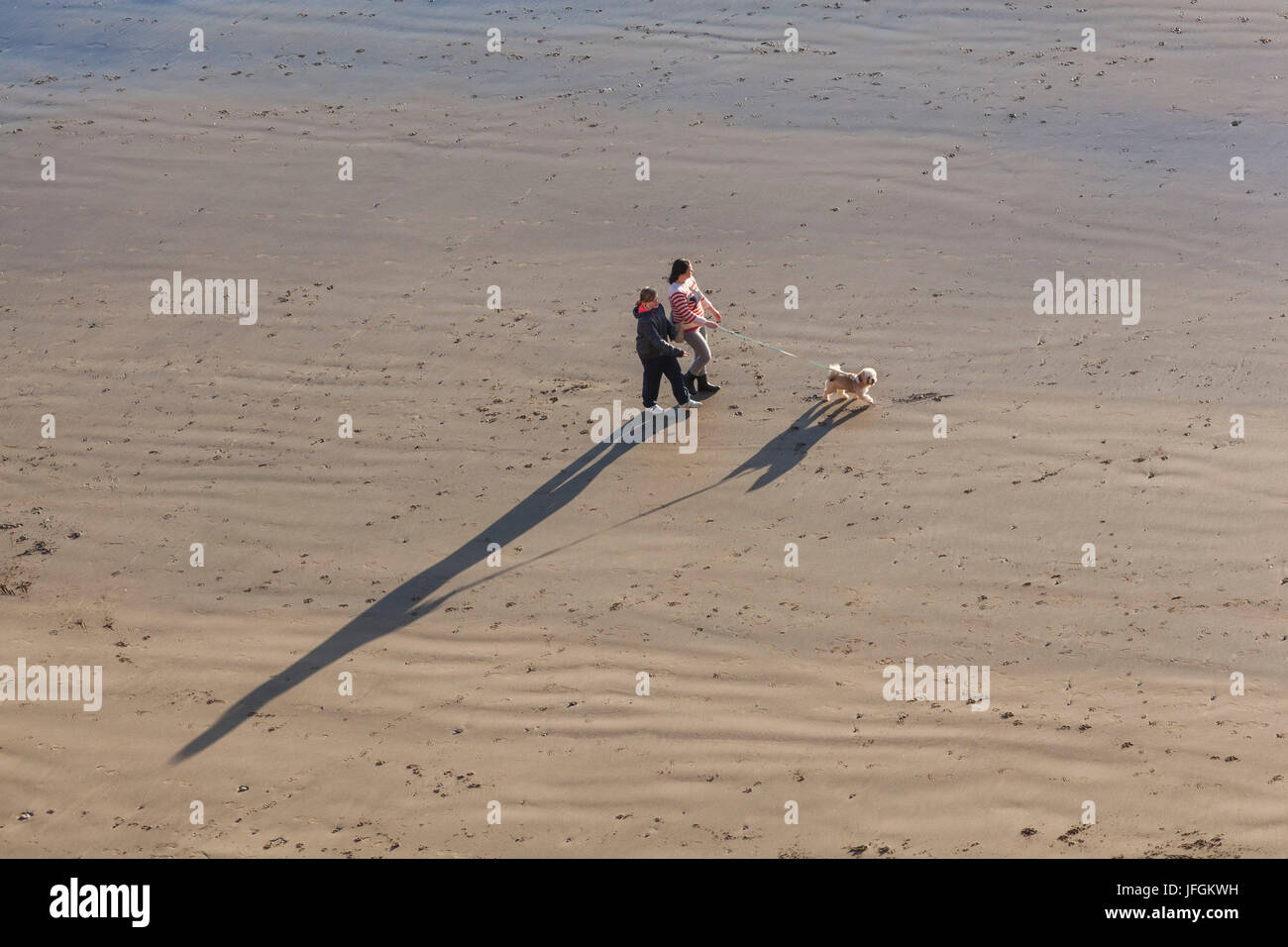 Inghilterra, nello Yorkshire, Scarborough, Dog Walker su Scarborough Beach all'alba Foto Stock