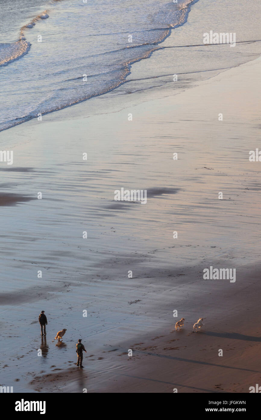 Inghilterra, nello Yorkshire, Scarborough, Dog Walker su Scarborough Beach all'alba Foto Stock