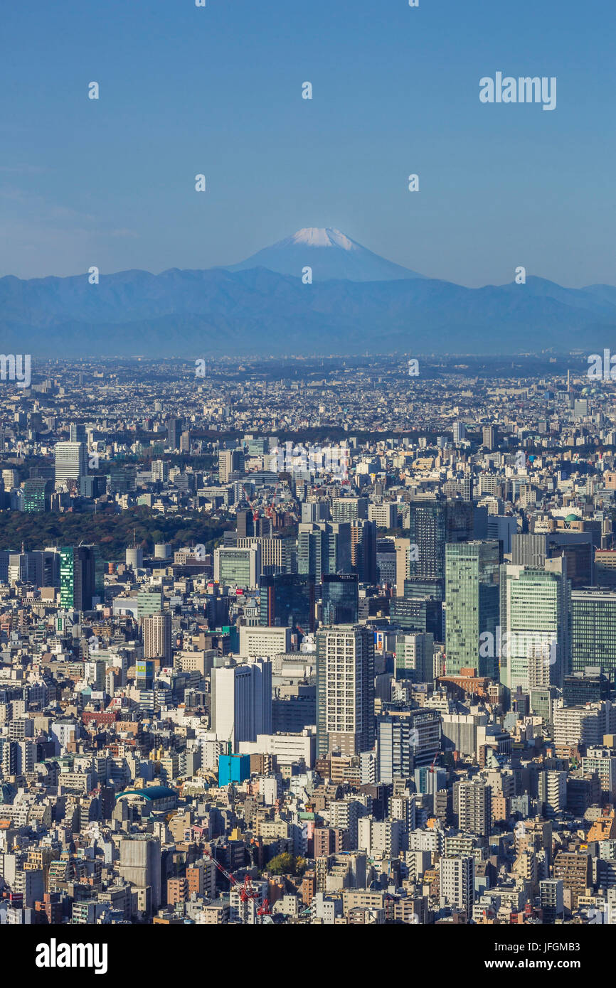 Giappone, Kanto, Tokyo City, Akihabara, Kanda area e il Monte Fuji Foto Stock