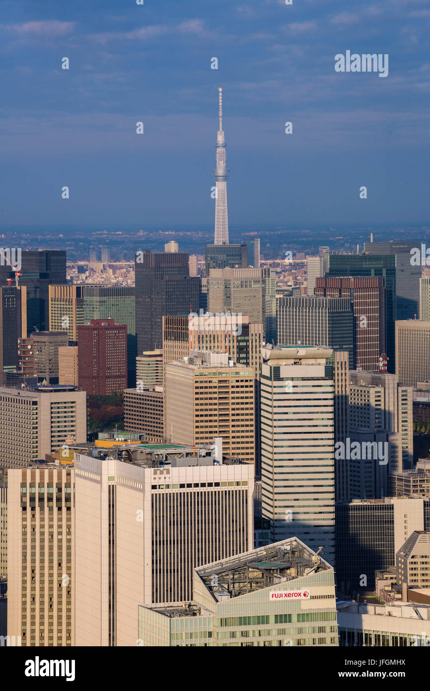 Giappone Tokyo City, Down Town Tokyo e Sky Tower ad albero Foto Stock